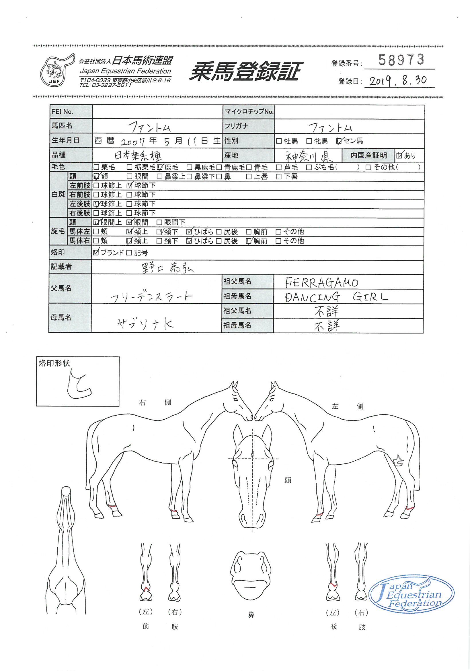 公益社団法人 日本馬術連盟 《Japan Equestrian Federation 公益社団法人 日本馬術連盟 《Japan Equestrian Federation
