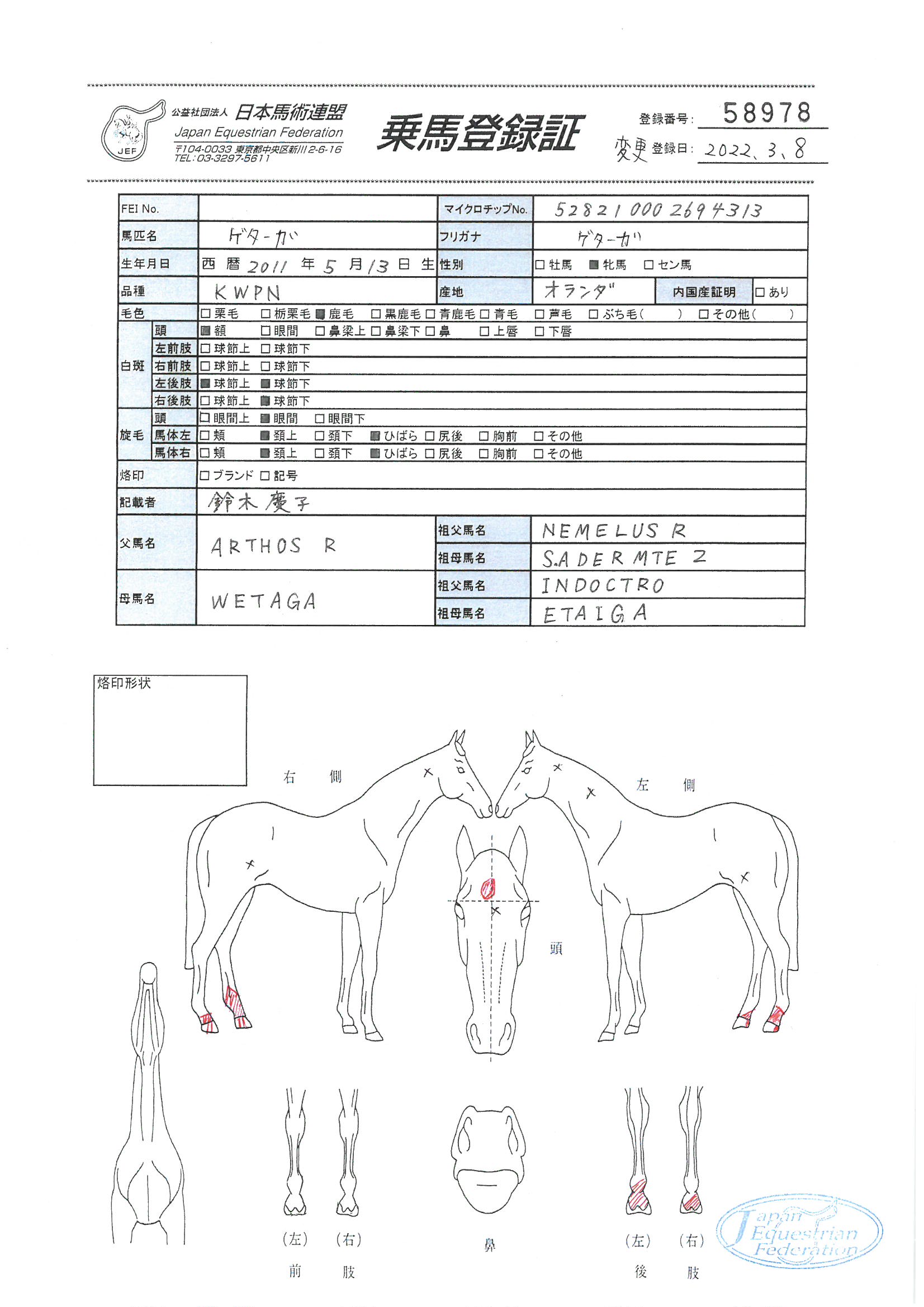 乗馬登録証