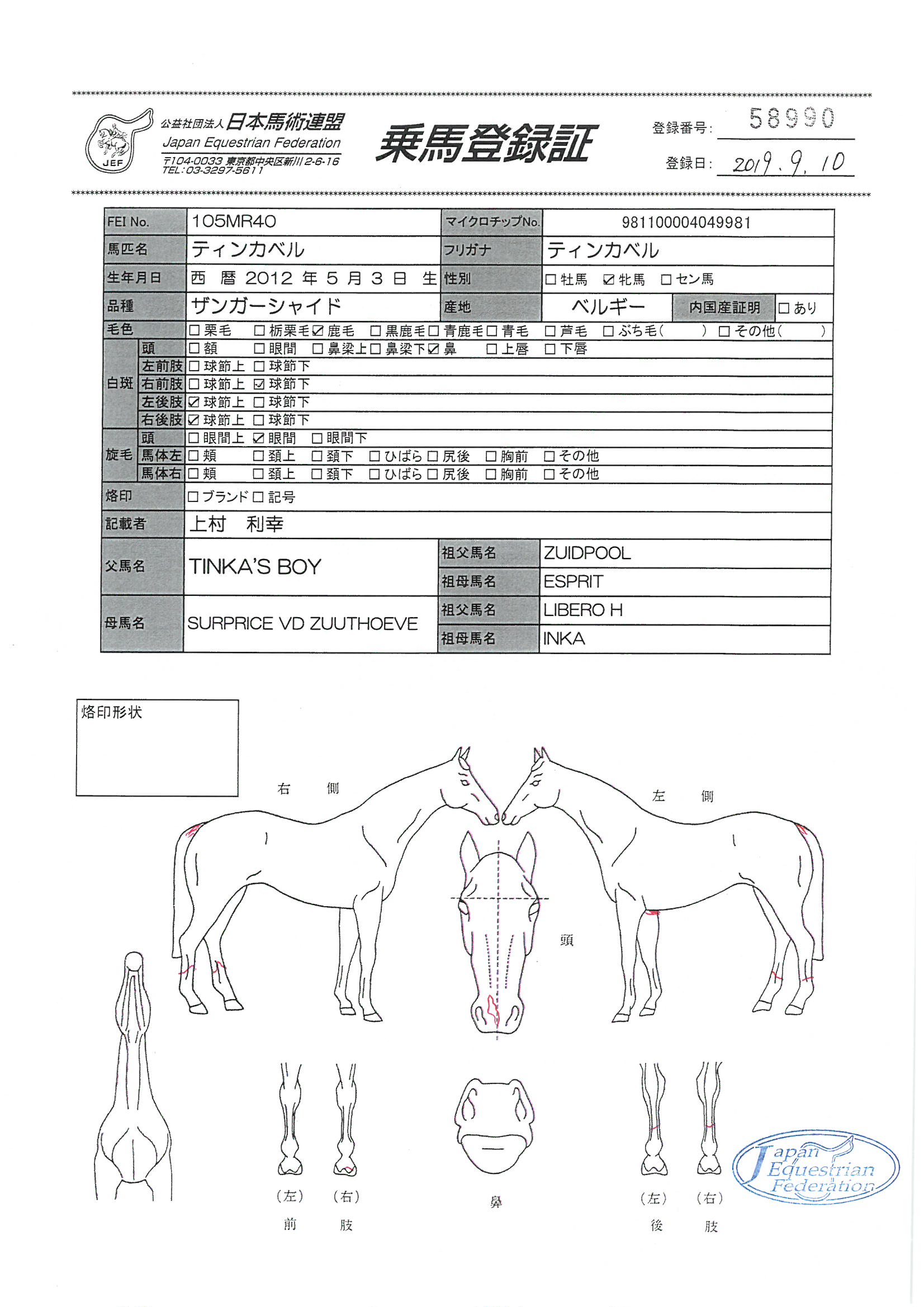 公益社団法人 日本馬術連盟 《Japan Equestrian Federation 公益社団法人 日本馬術連盟 《Japan Equestrian Federation