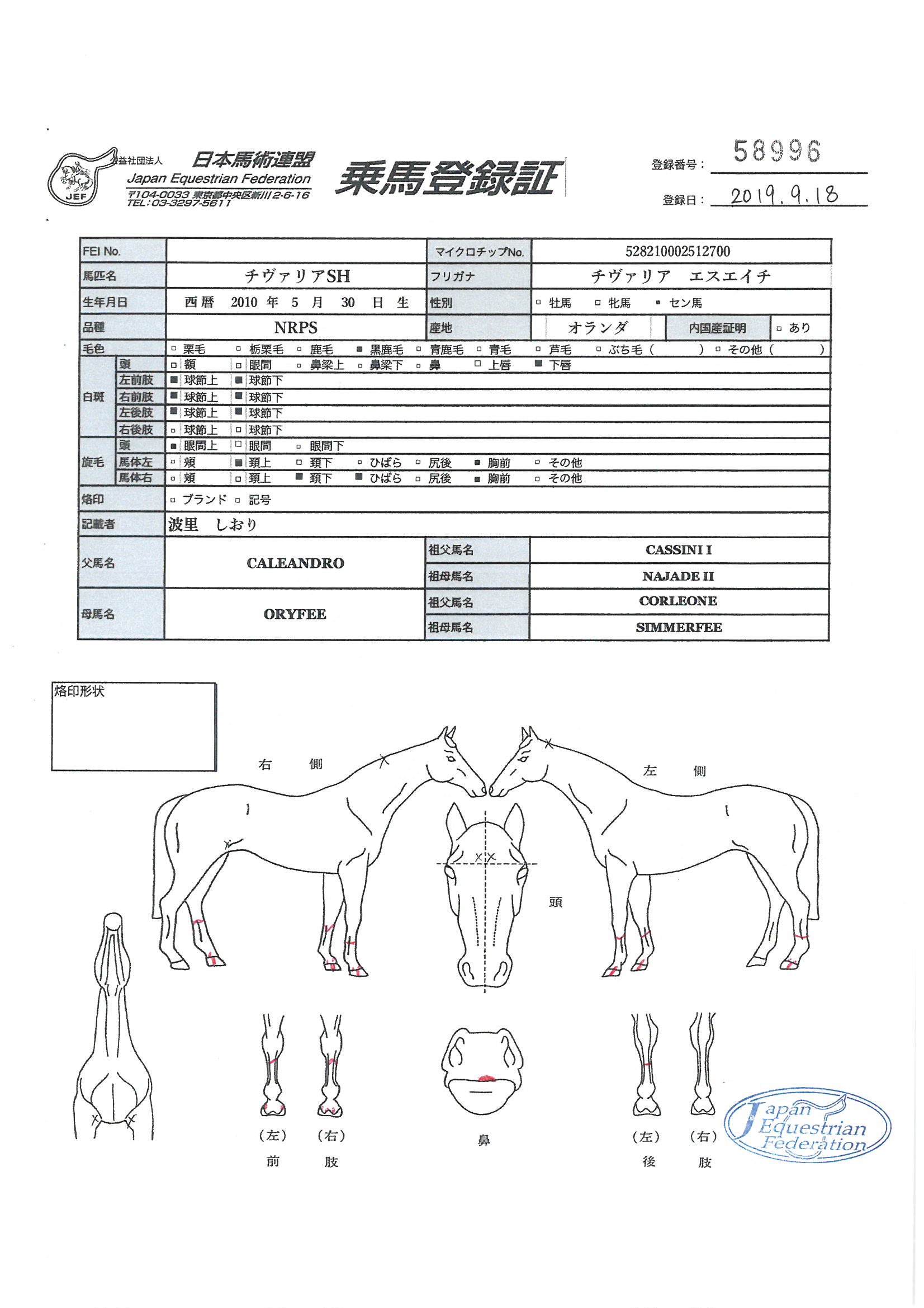 乗馬登録証
