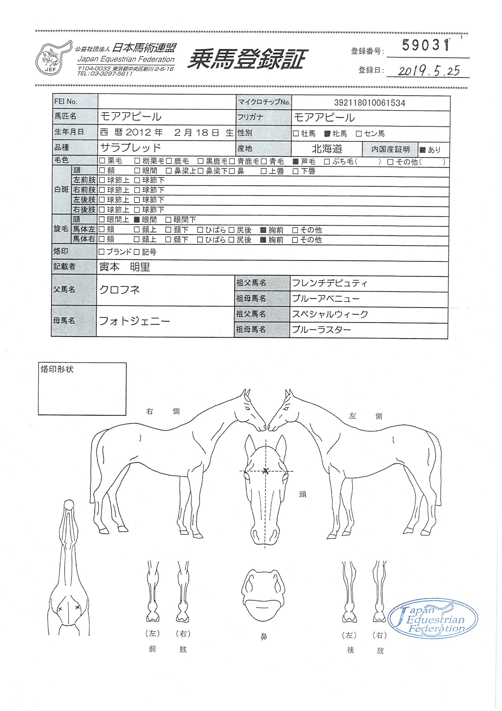 乗馬登録証
