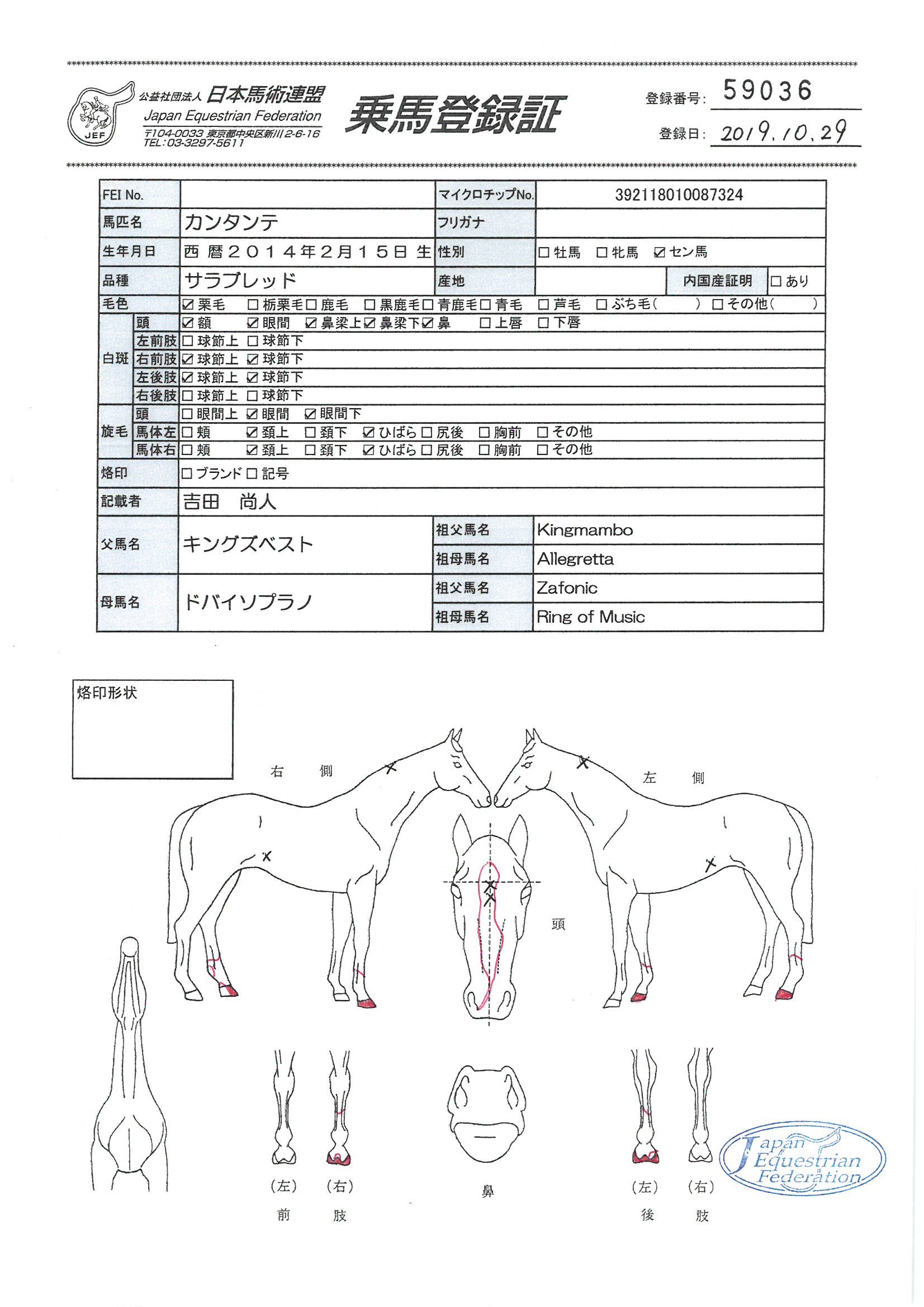 乗馬登録証