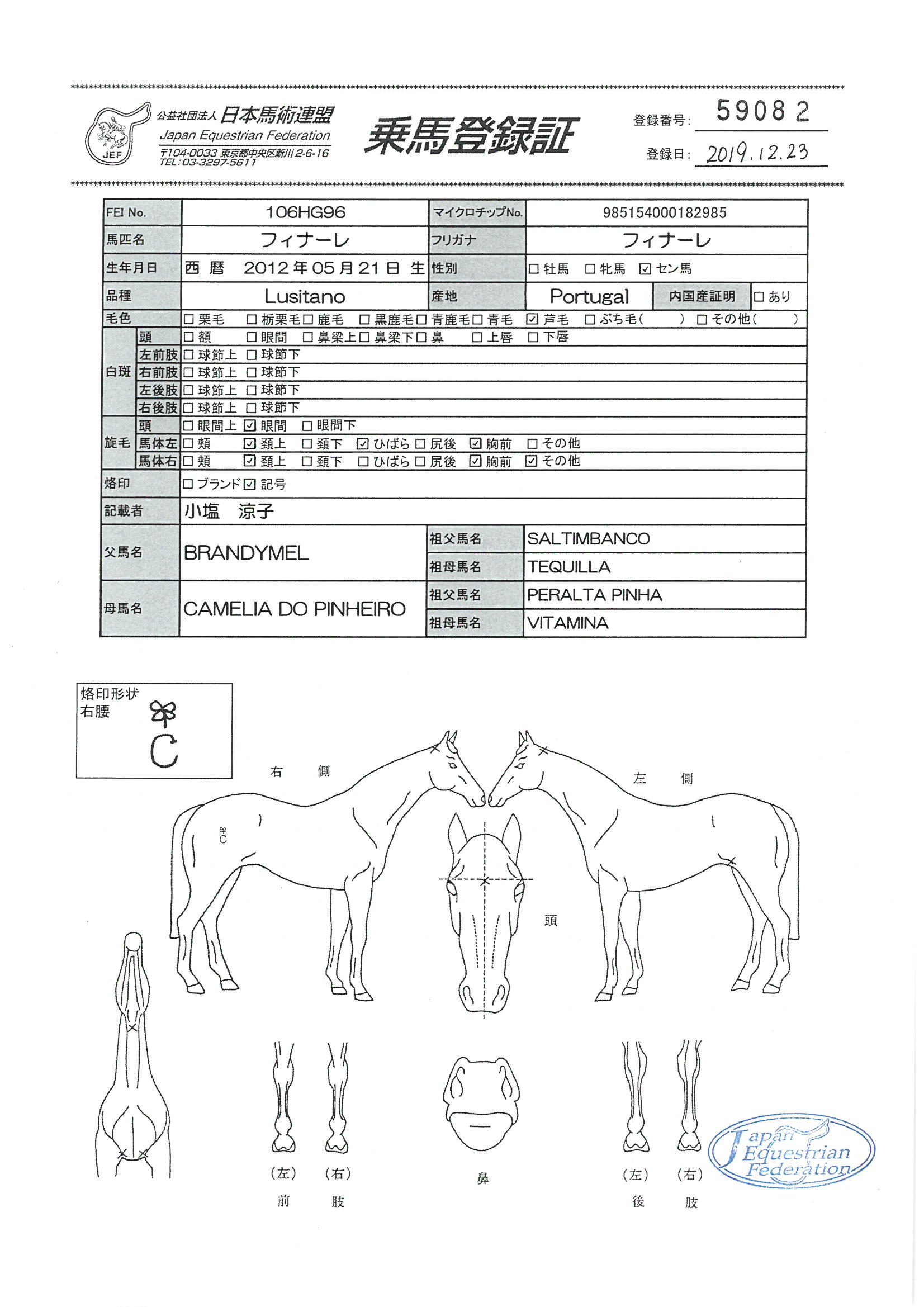 乗馬登録証