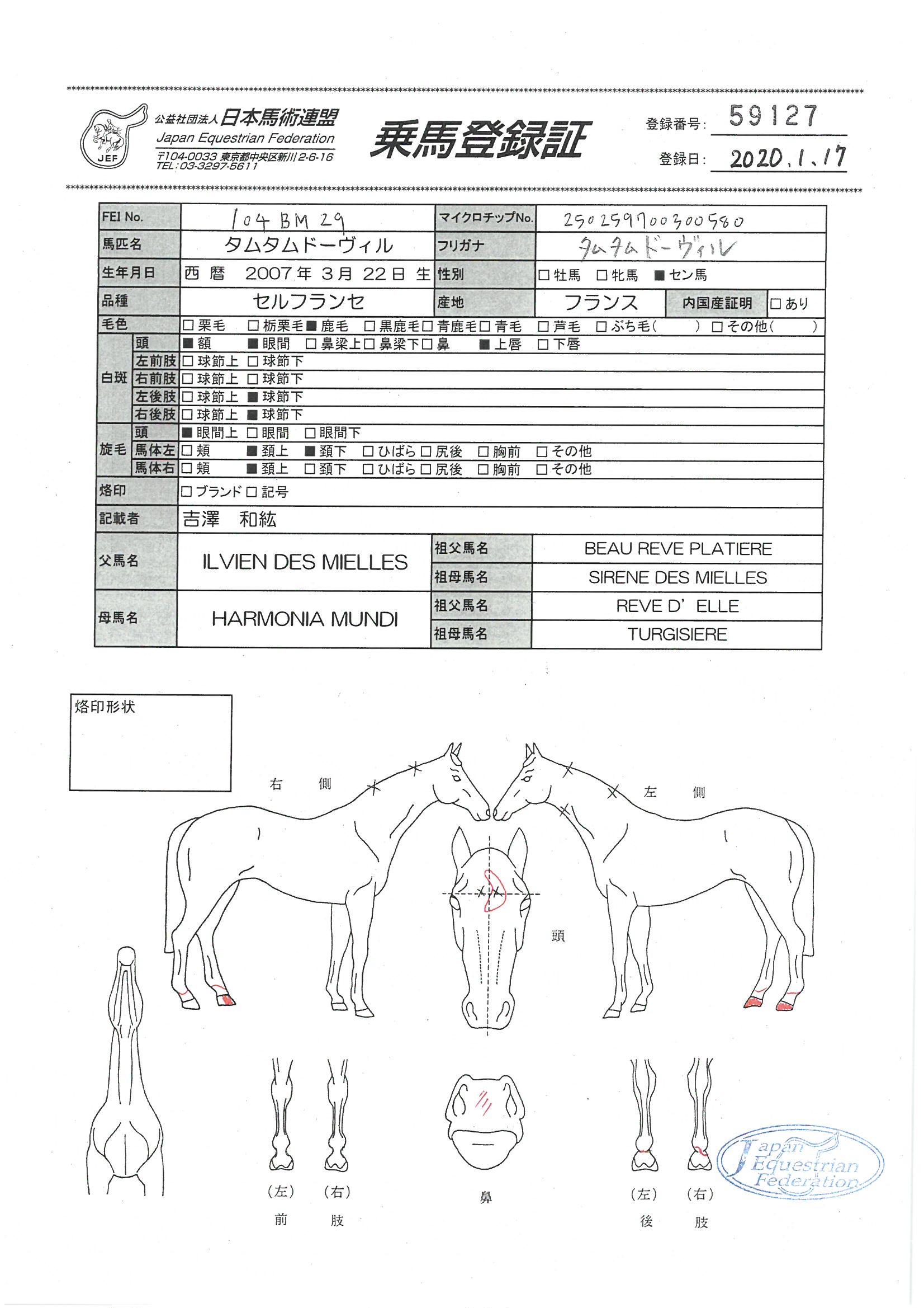公益社団法人 日本馬術連盟 《Japan Equestrian Federation