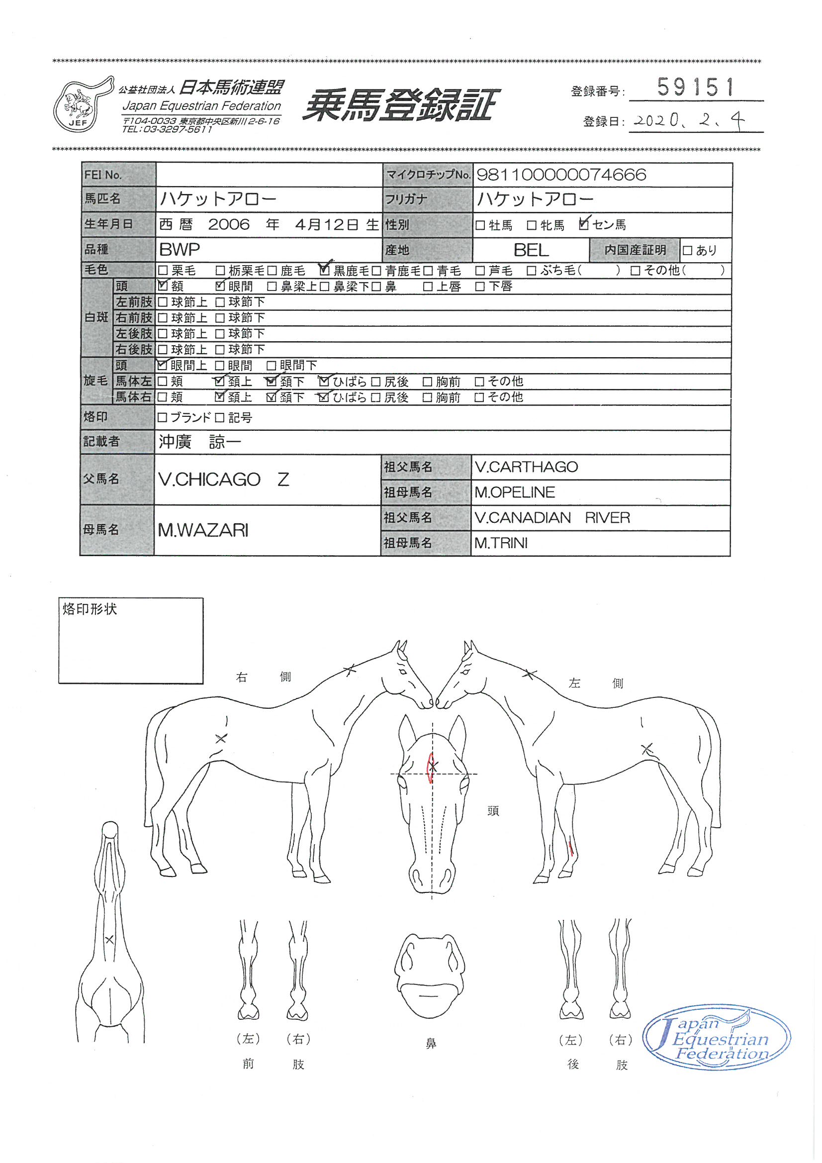 乗馬登録証
