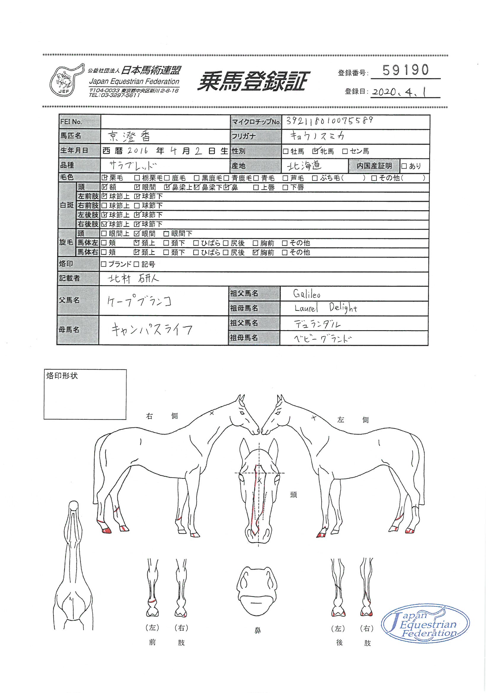 乗馬登録証