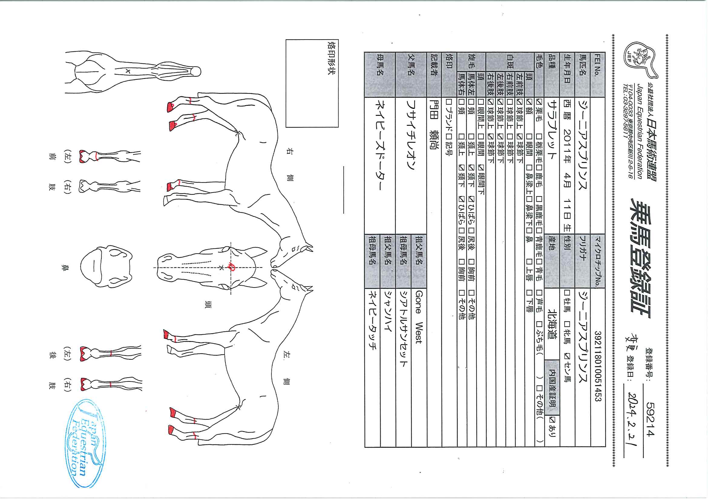 乗馬登録証