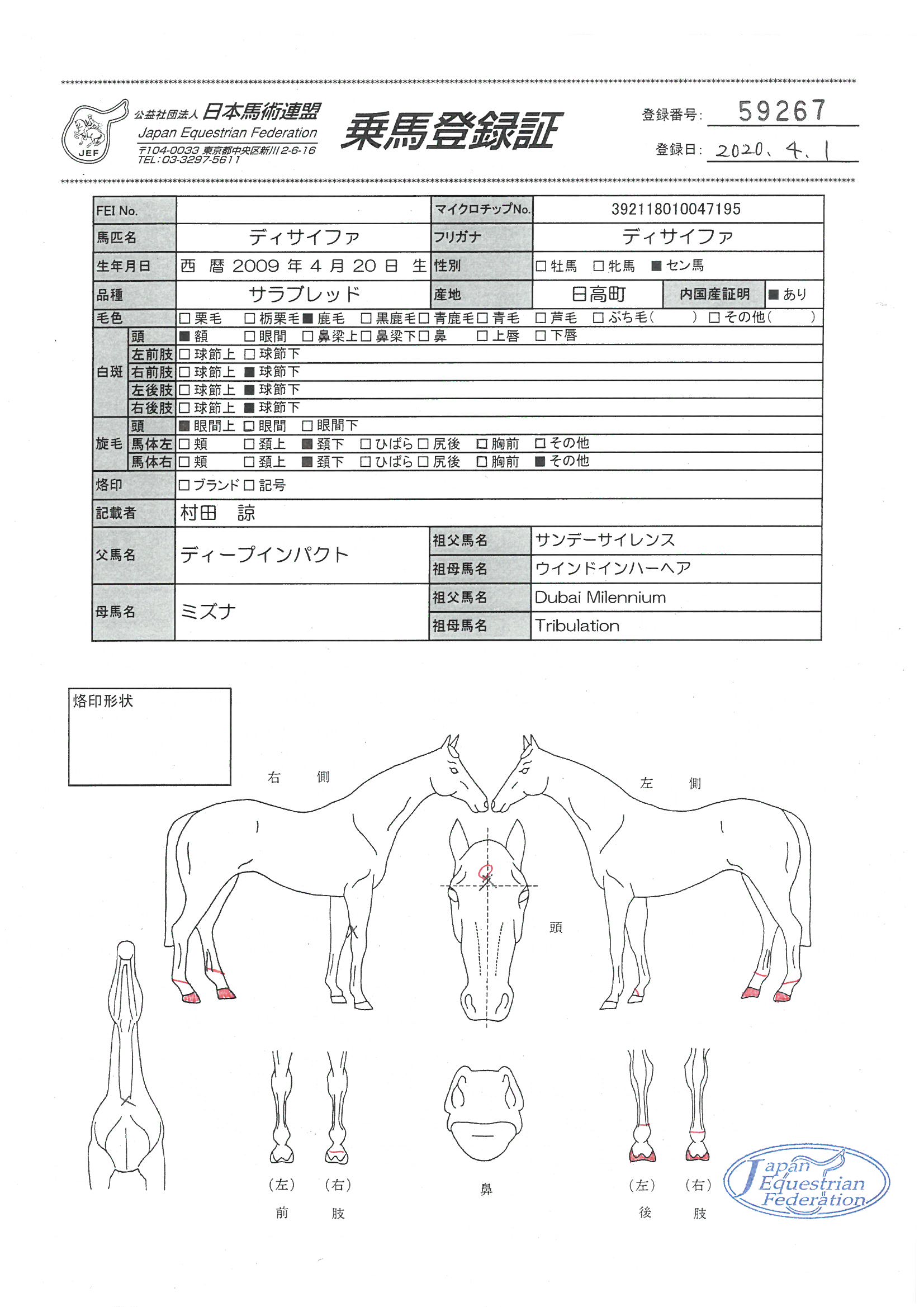 乗馬登録証