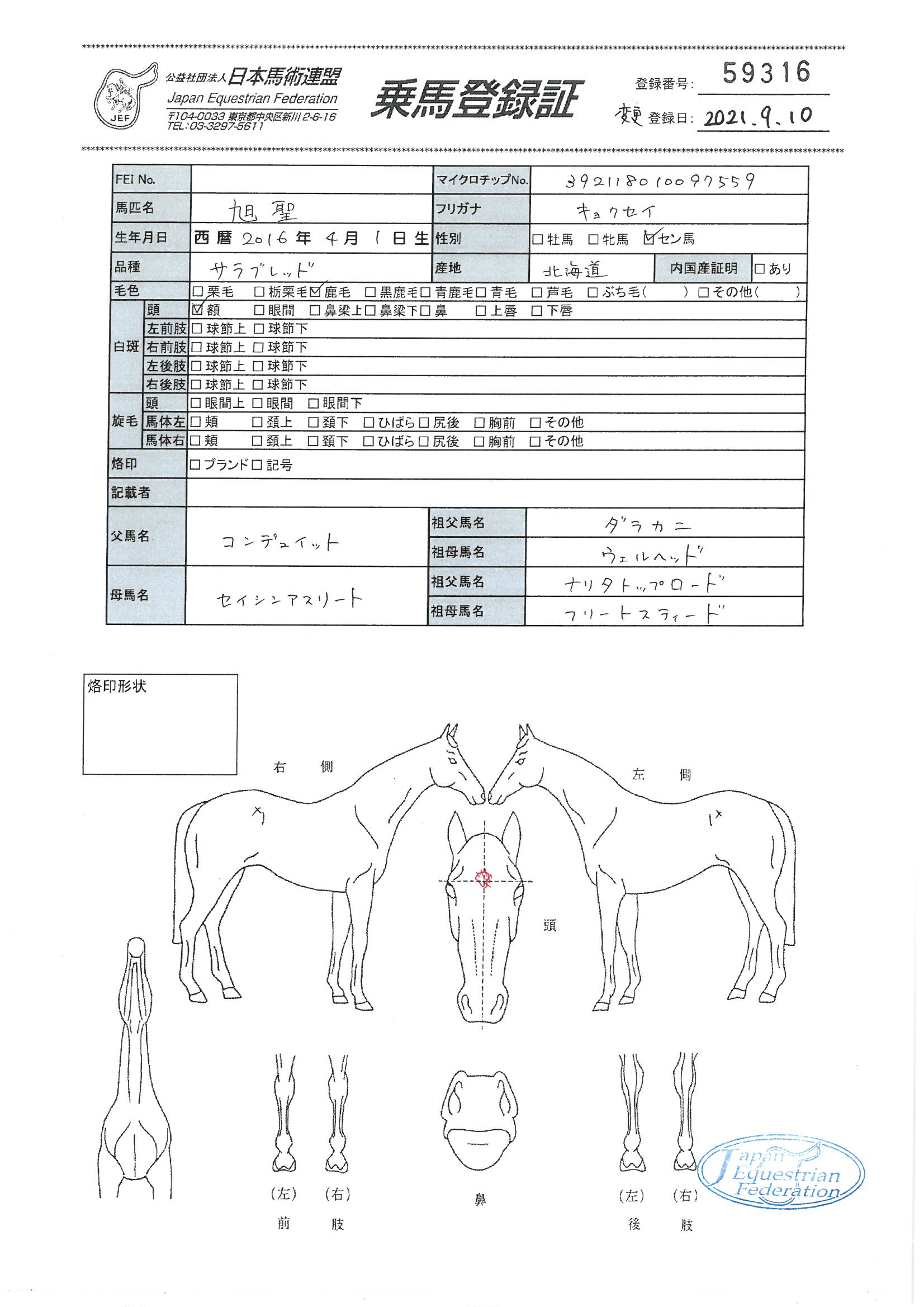 全国馬名簿　2018年生産 JBBA NEWS 2018年3月号（VOL.542）：日本軽種馬協会