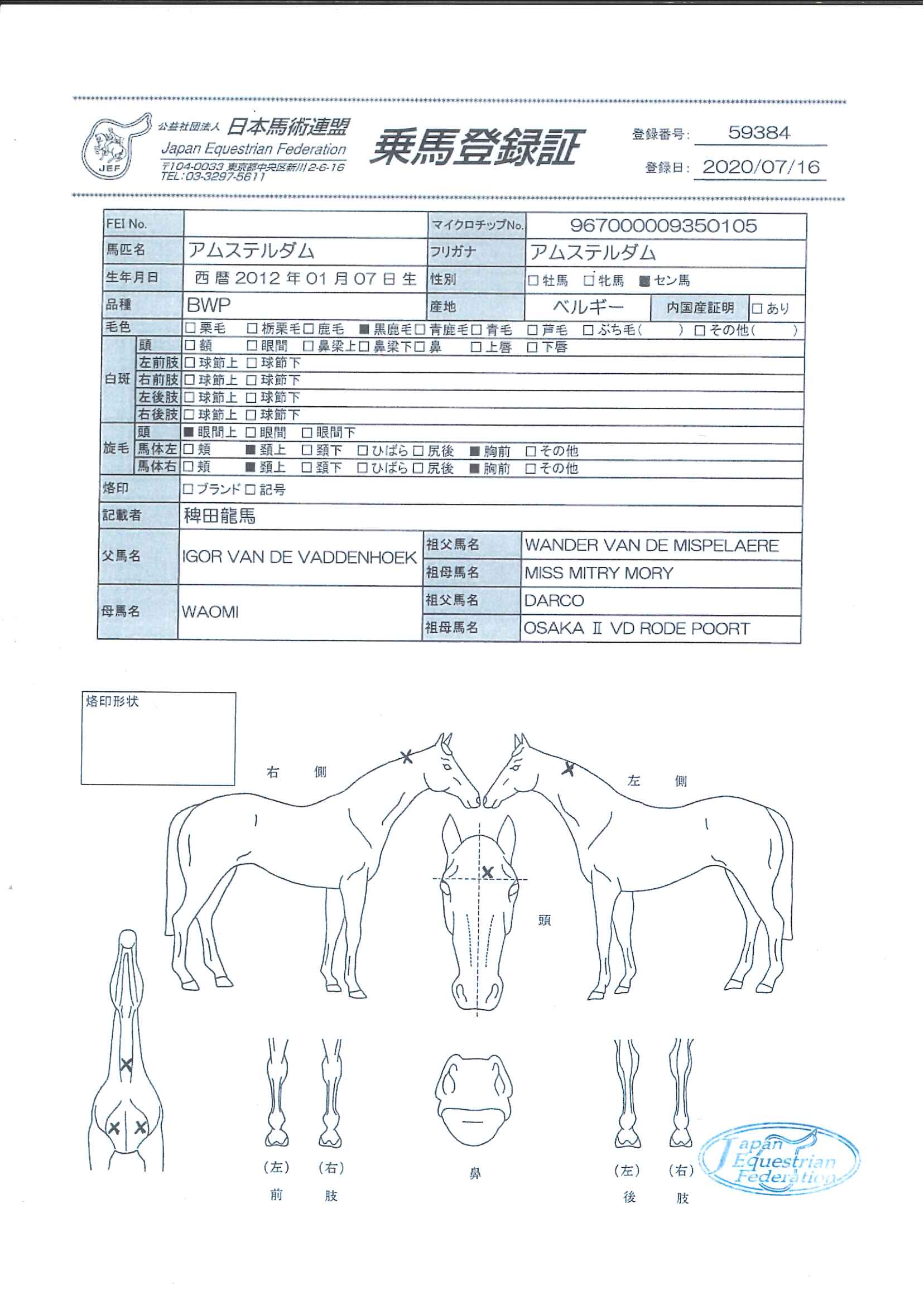 乗馬登録証