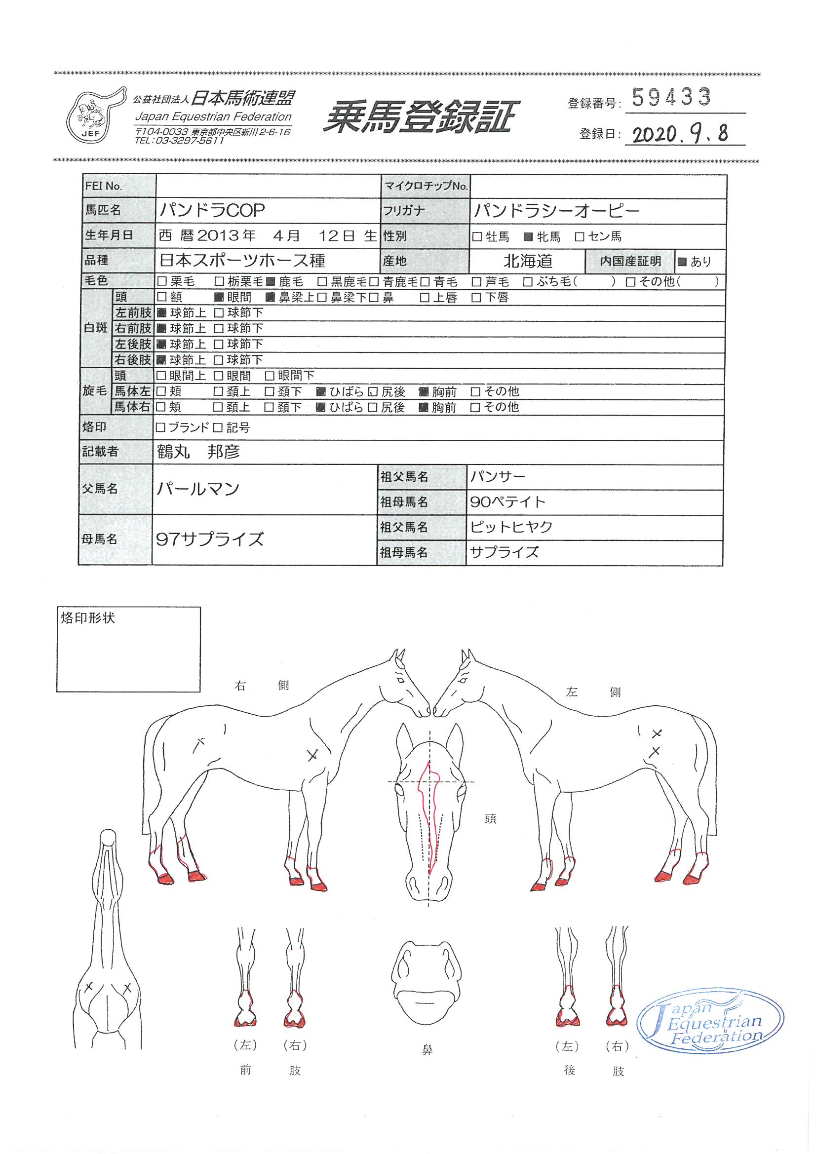 公益社団法人 日本馬術連盟 Japan Equestrian Federation 日本馬術連盟 日馬連 馬術連盟 公益社団法人 日本馬術連盟