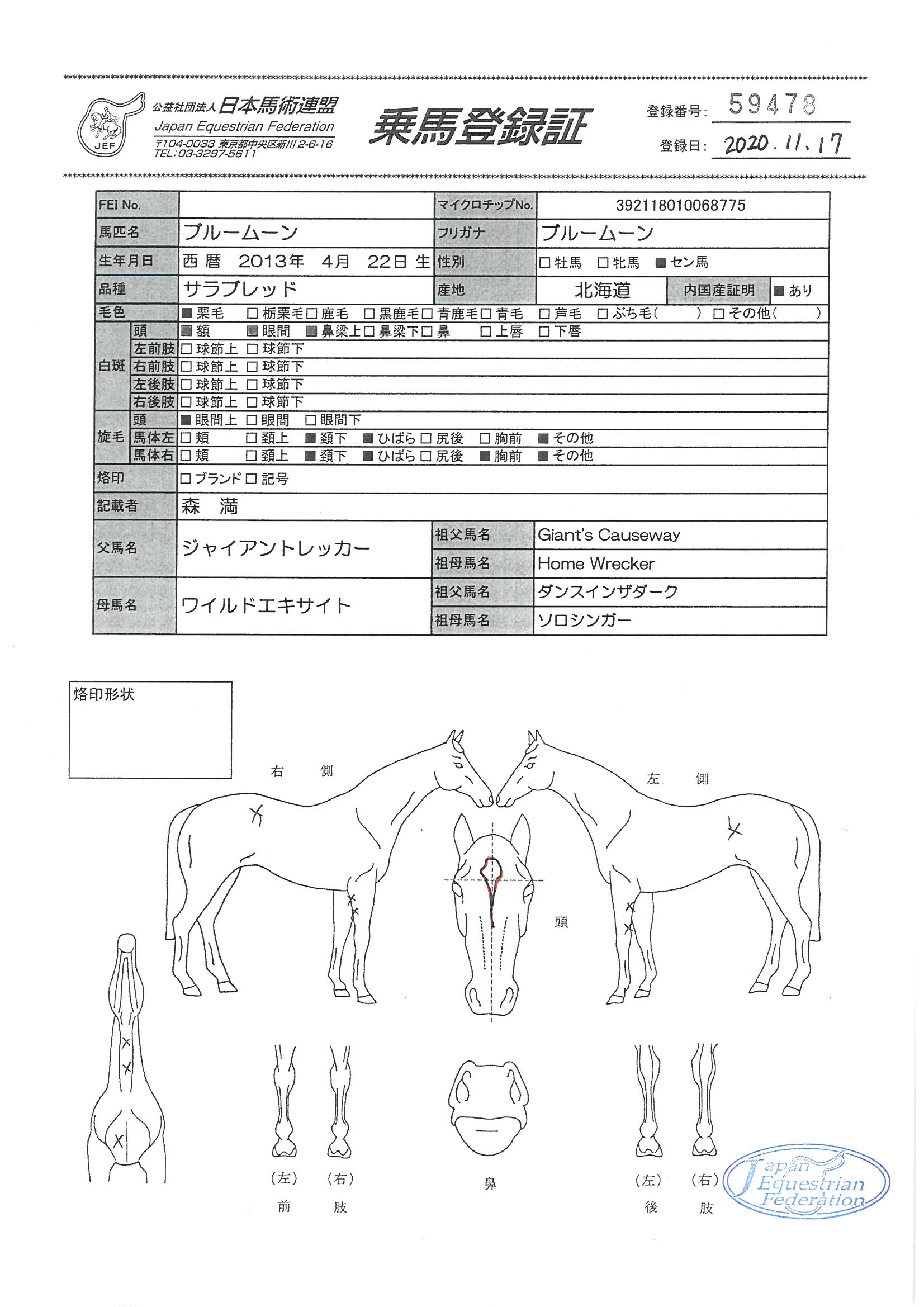 j9-3（群馬県史）全37巻 通史編 全10巻＋資料篇