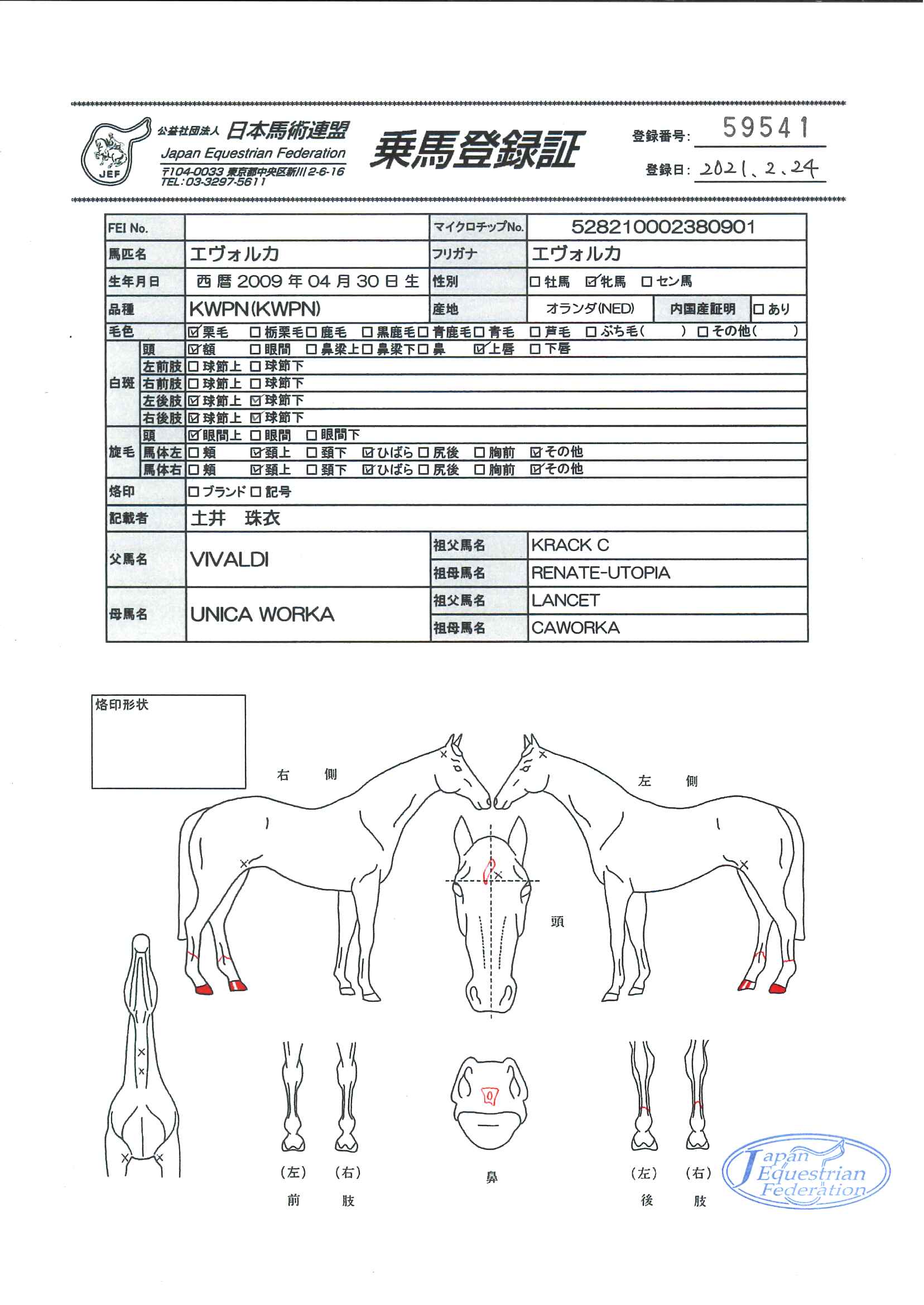 乗馬登録証