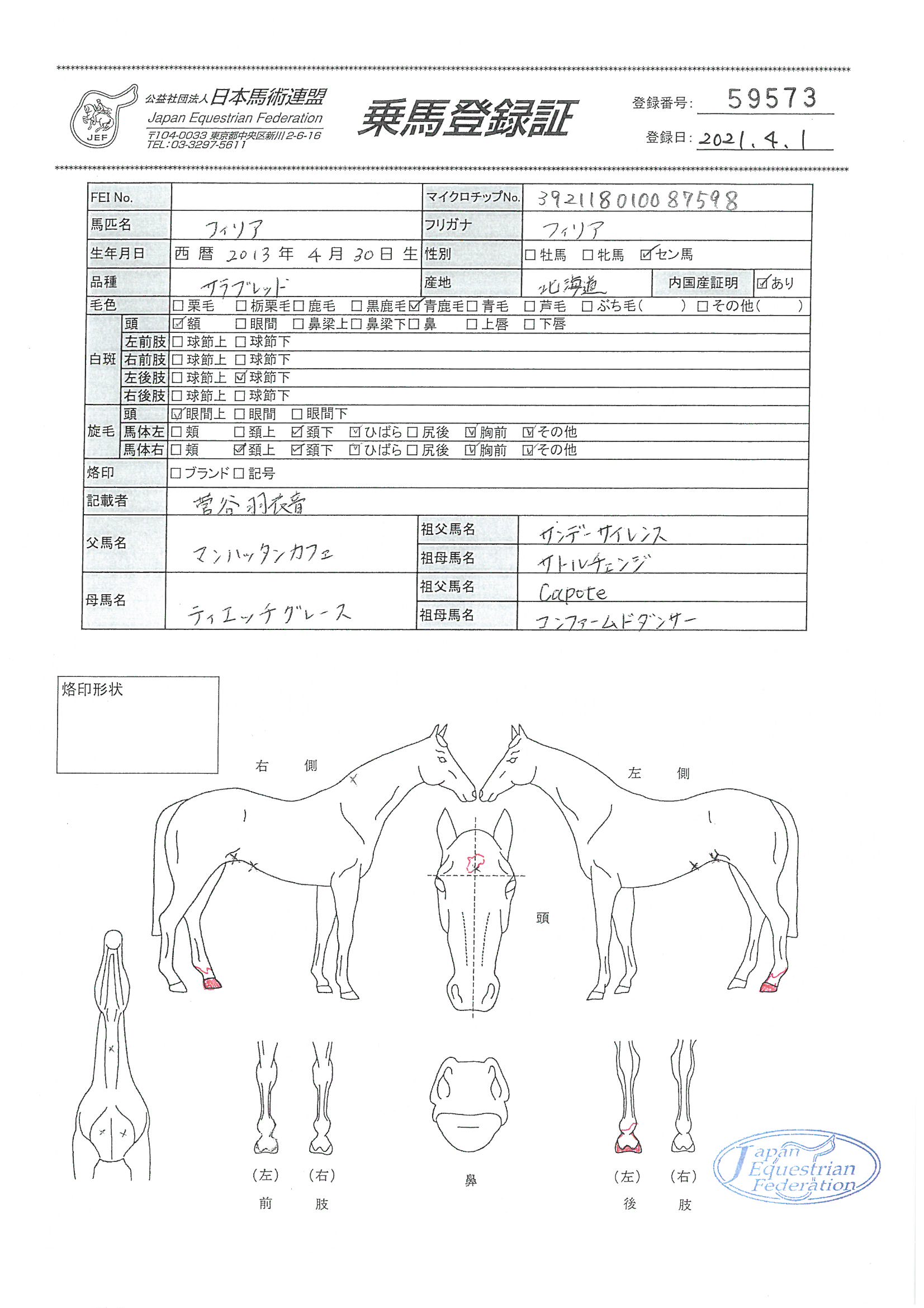 マサポリカフェ 馬券 マルチケット フラワー 100枚入 | ササガワオンラインショップ