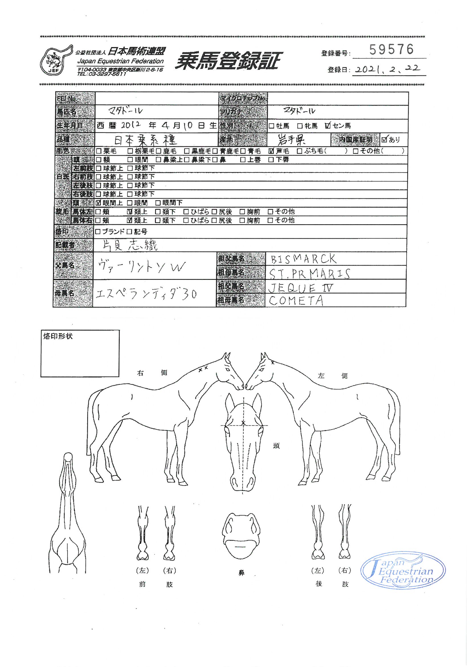 激安超安値 公益社団法人 日本馬術連盟 《Japan Equestrian Federation 競馬