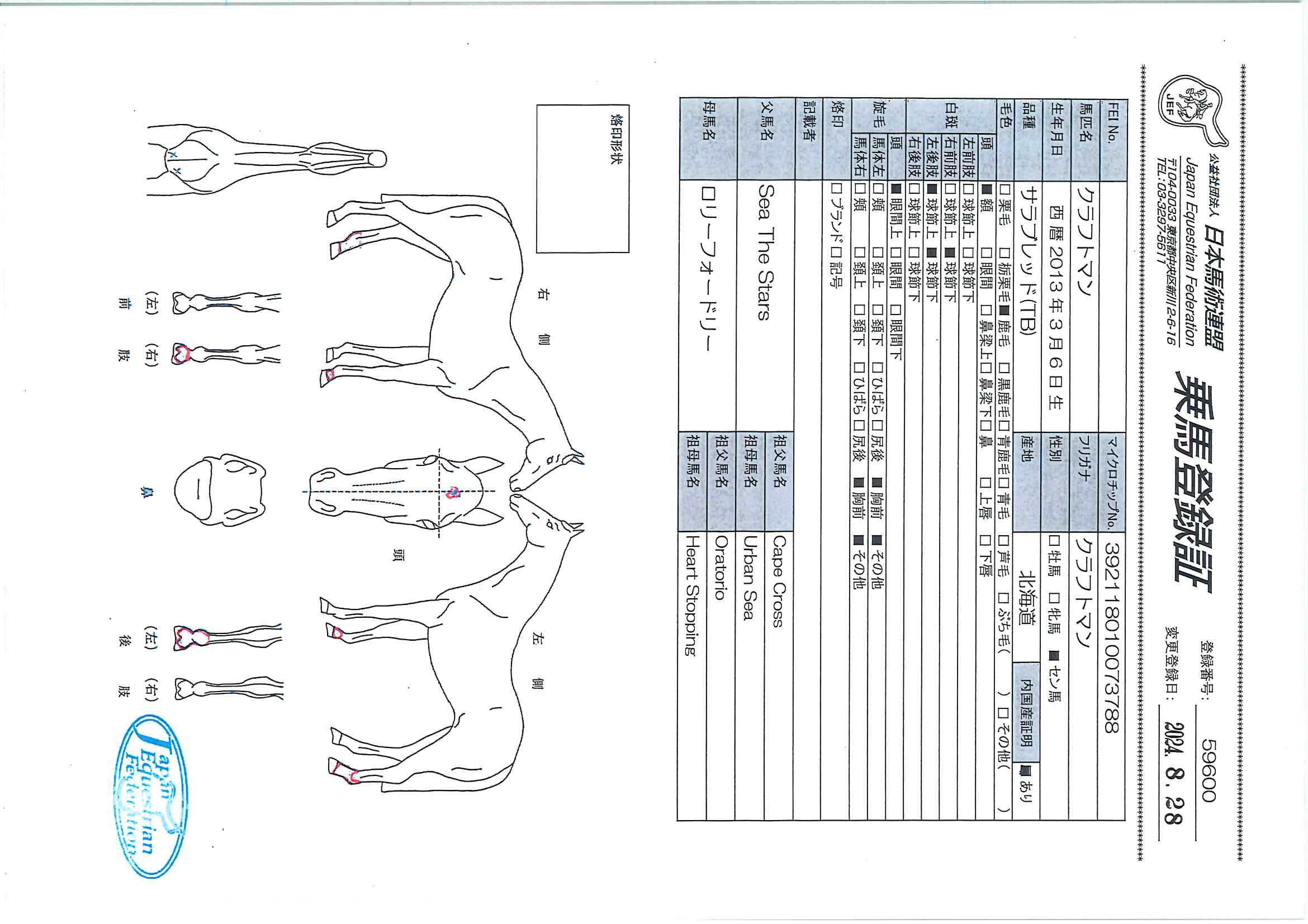 公益社団法人 日本馬術連盟 《Japan Equestrian Federation