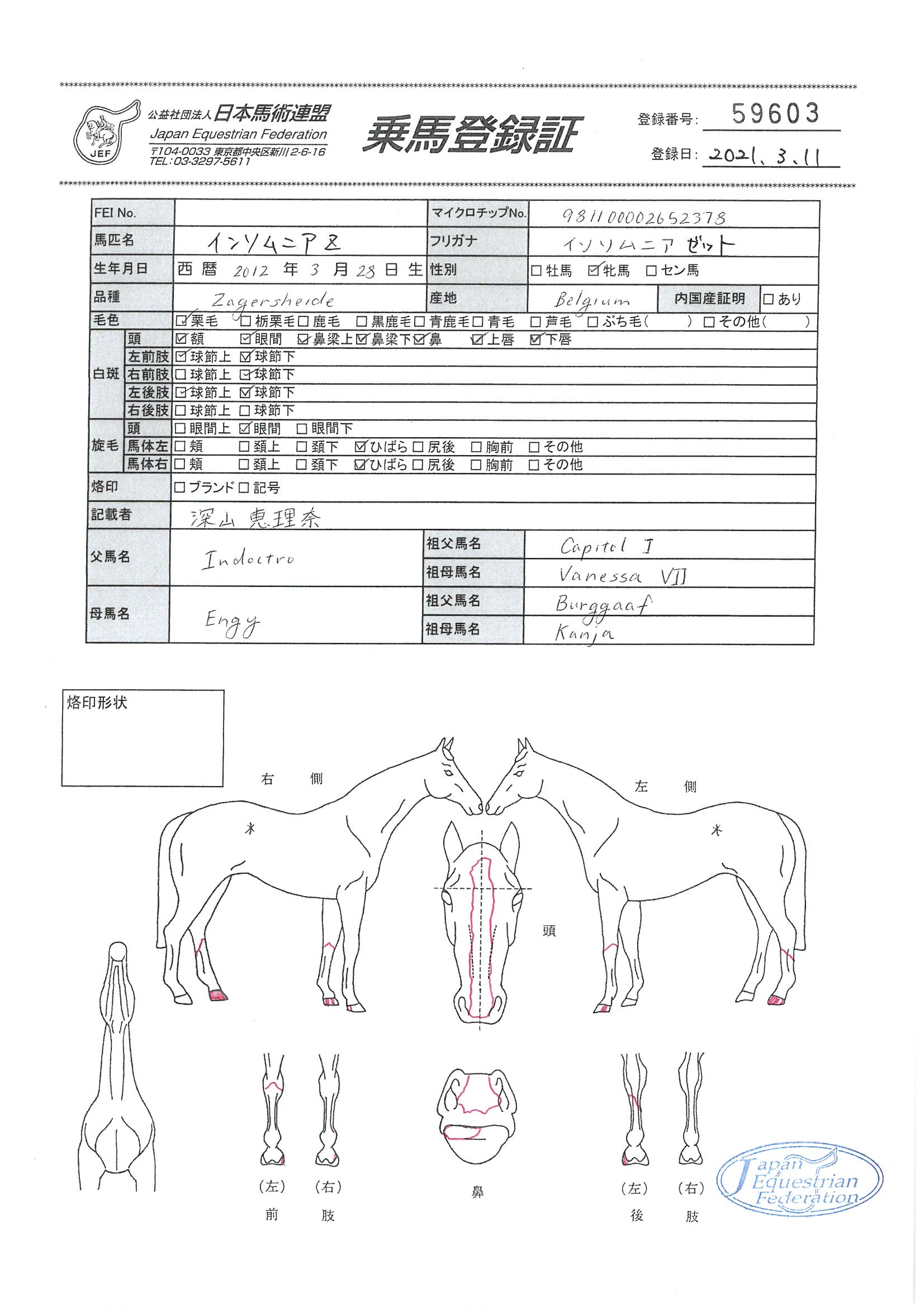 厩舎へ帰ろう 1~7巻＋書斎の競馬1〜4巻 11冊セット - メルカリ