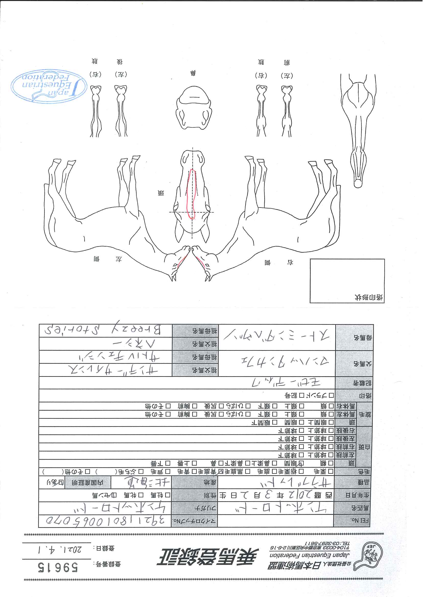 乗馬登録証