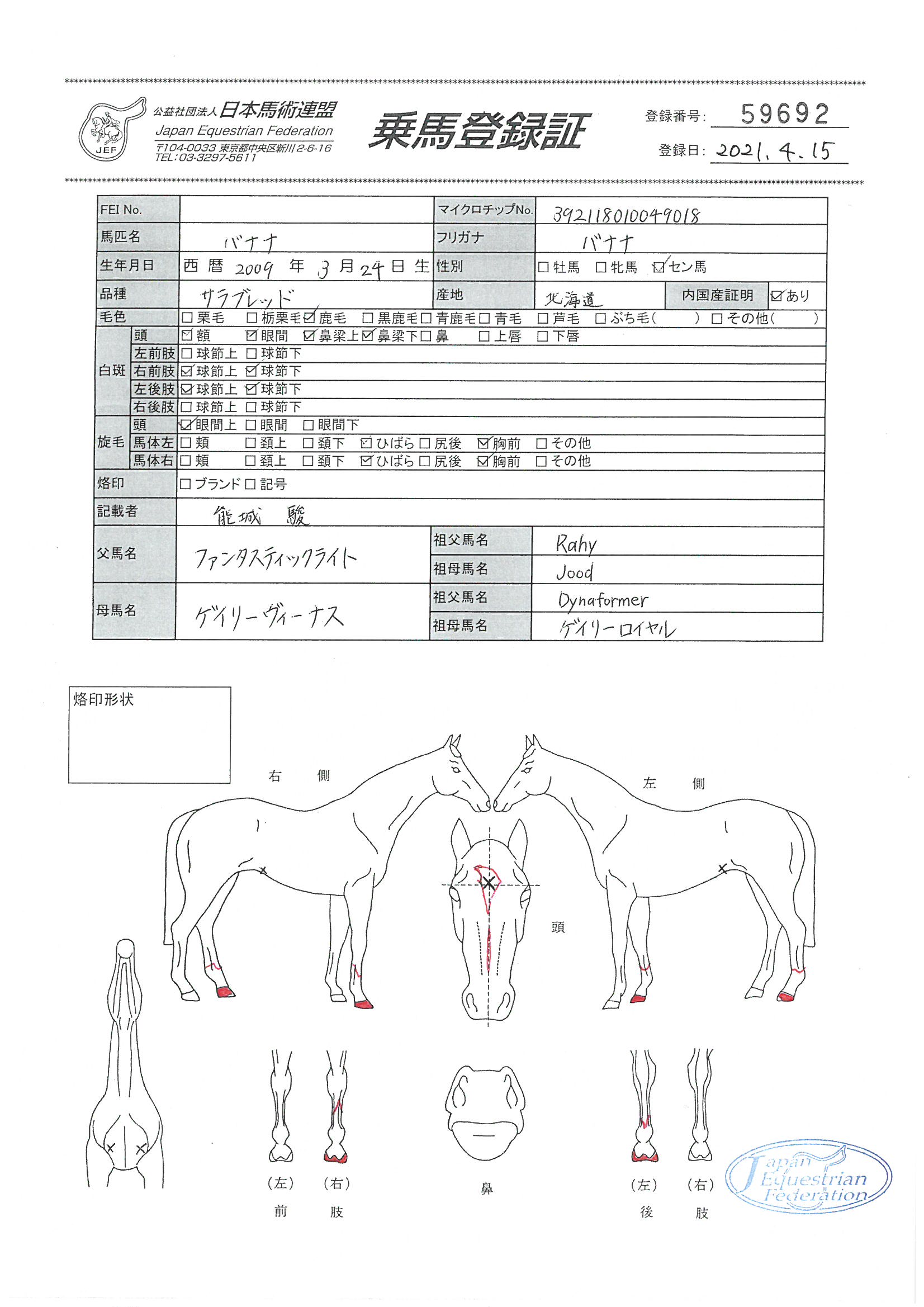 乗馬登録証