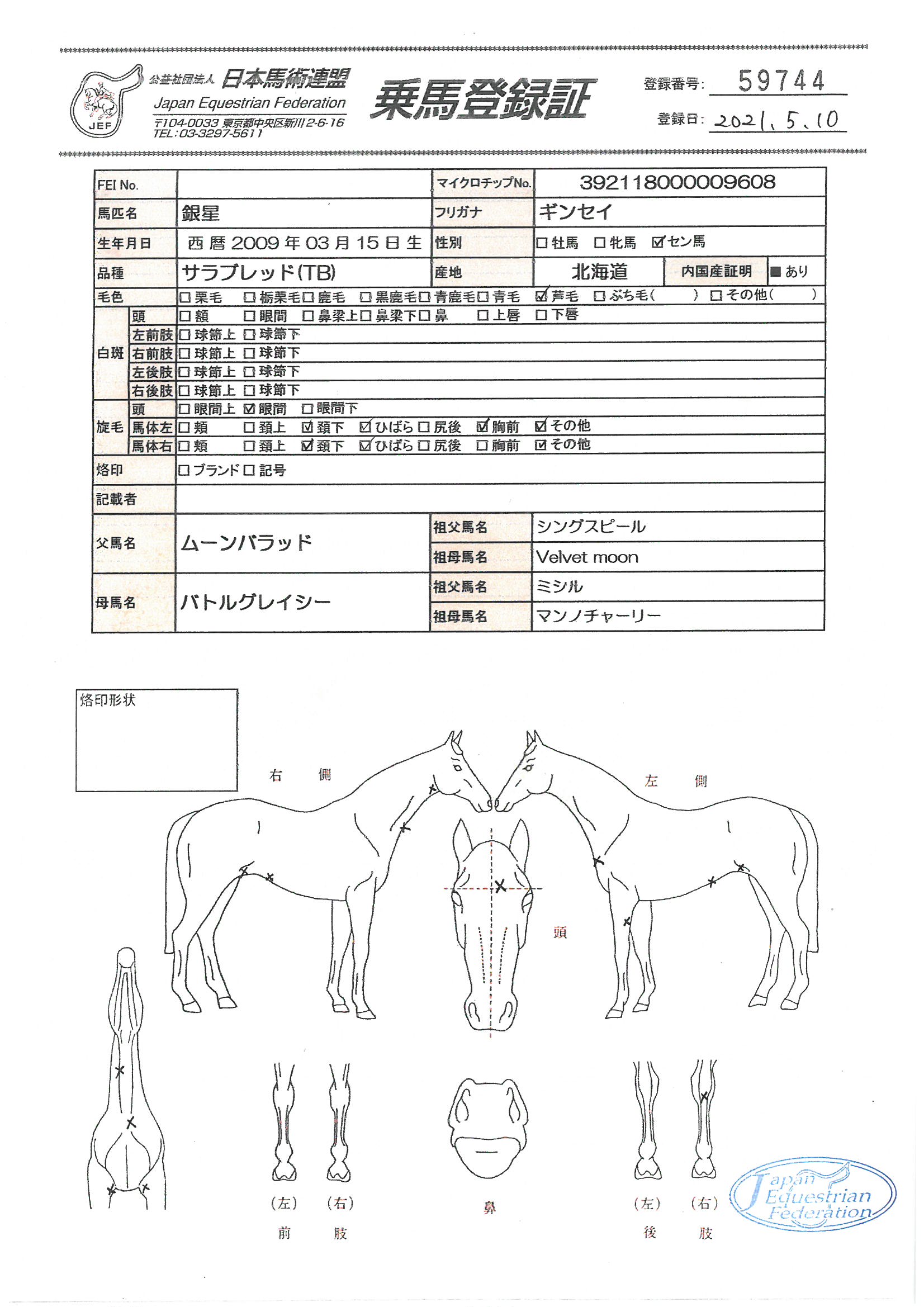 乗馬登録証