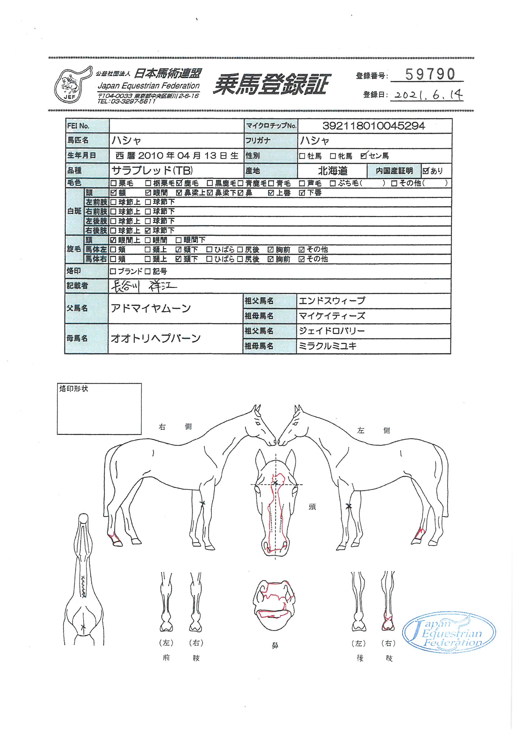 乗馬登録証