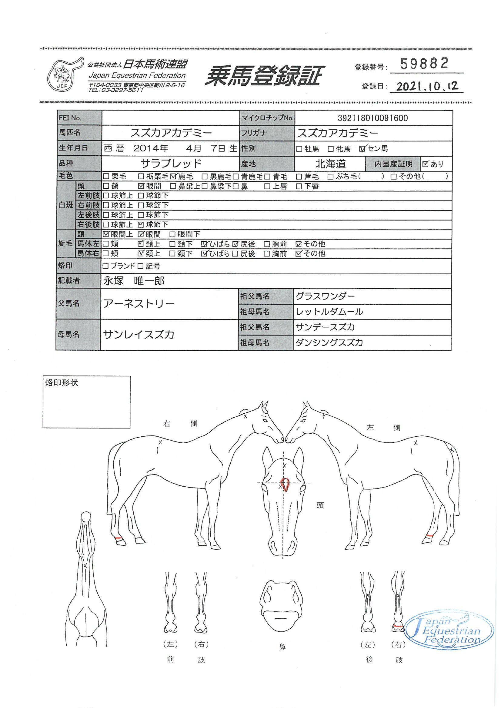 乗馬登録証
