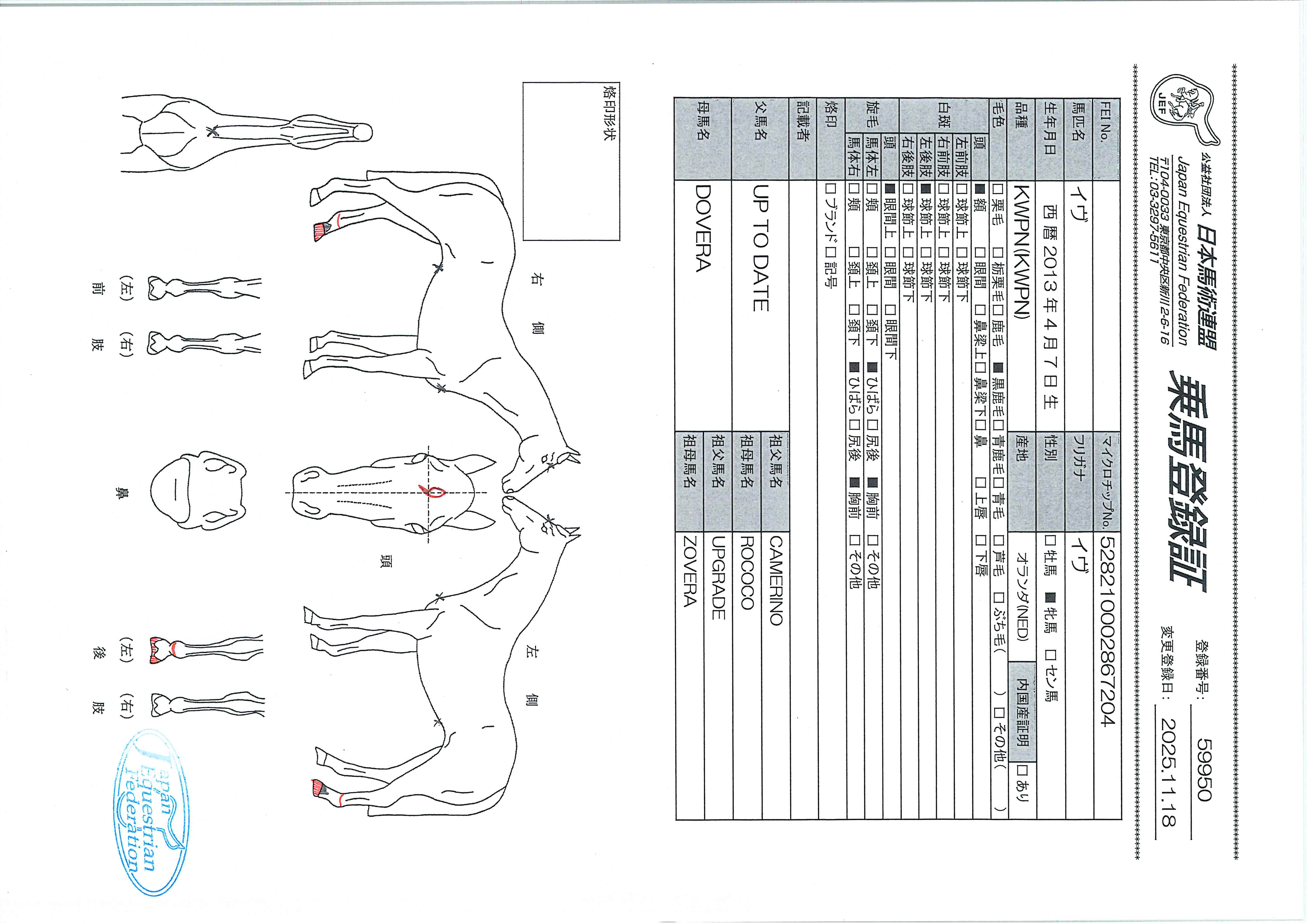 乗馬登録証