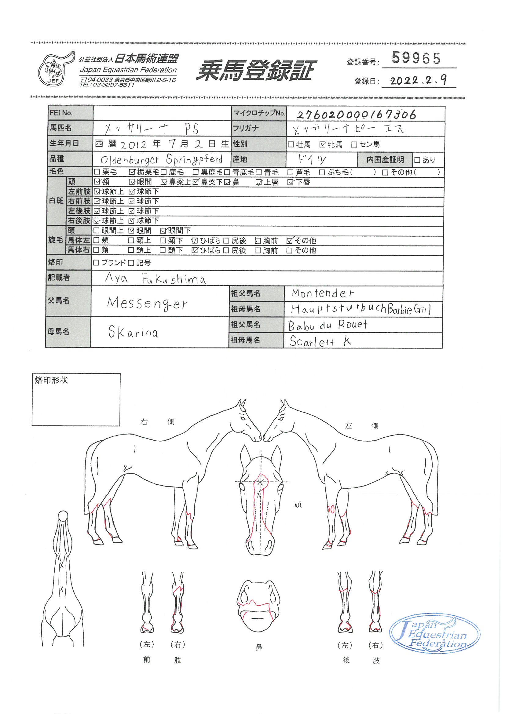 日本馬術史   /原書房/日本乗馬協会（単行本） 公益社団法人 日本馬術連盟 《Japan Equestrian Federation