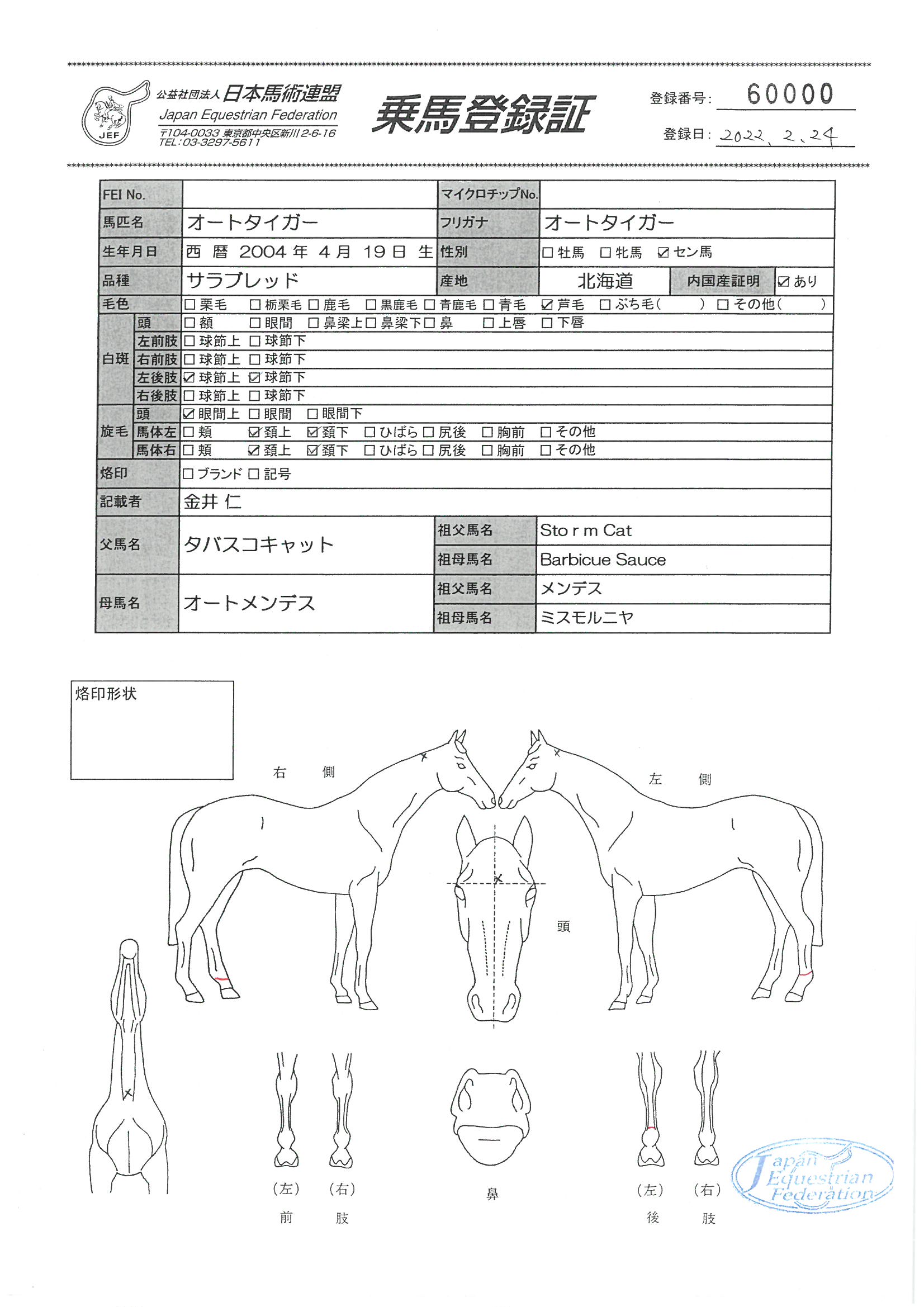乗馬登録証