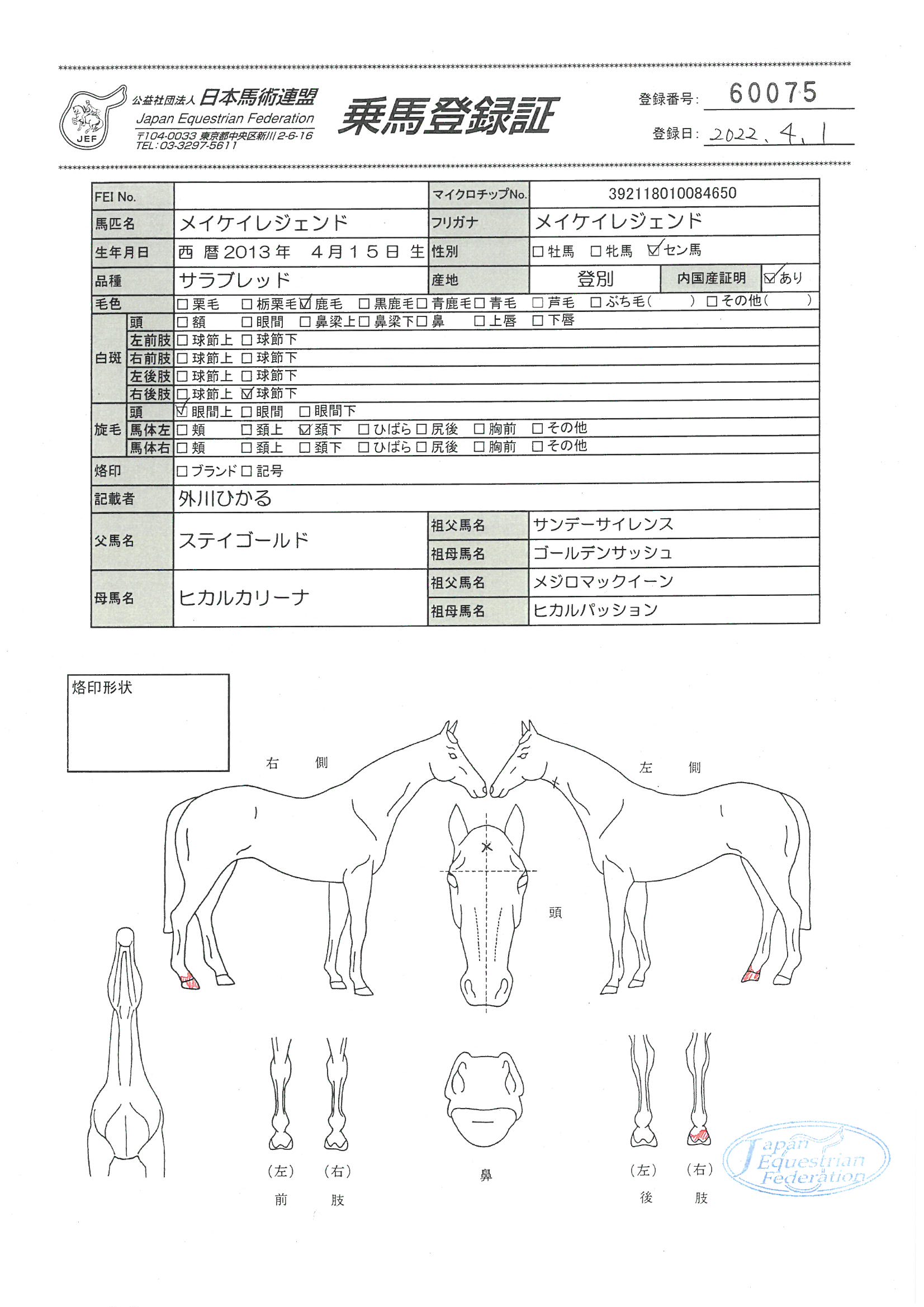 乗馬登録証