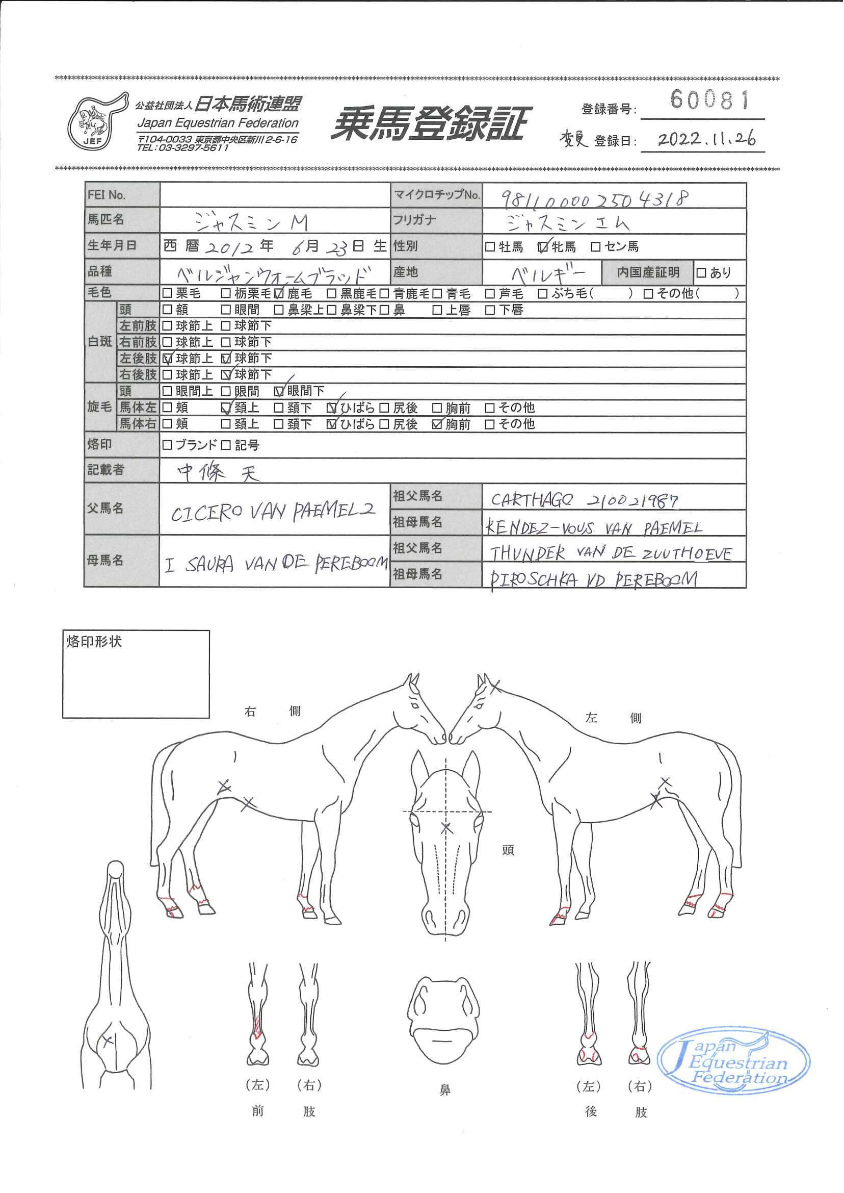 乗馬登録証