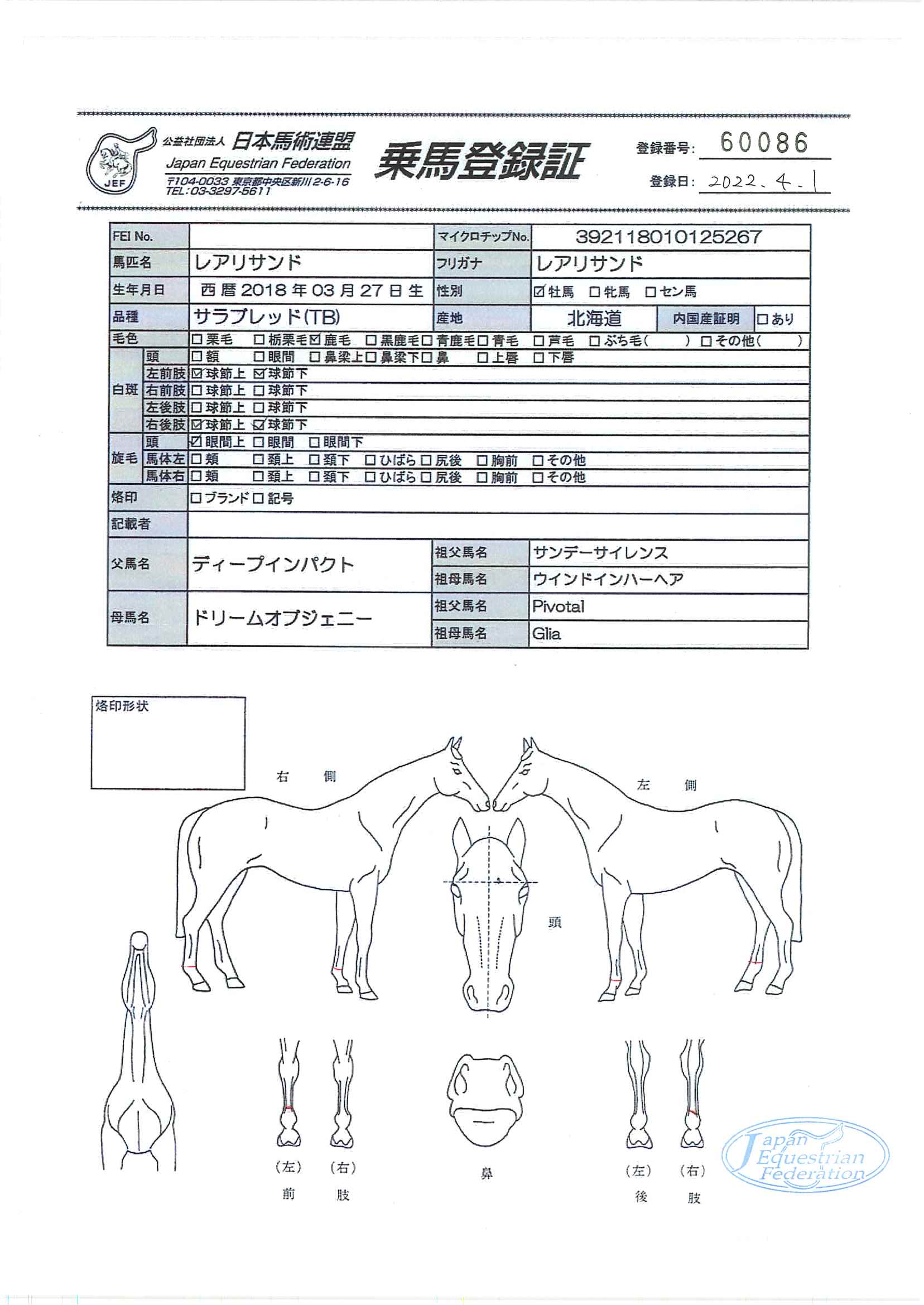 乗馬登録証