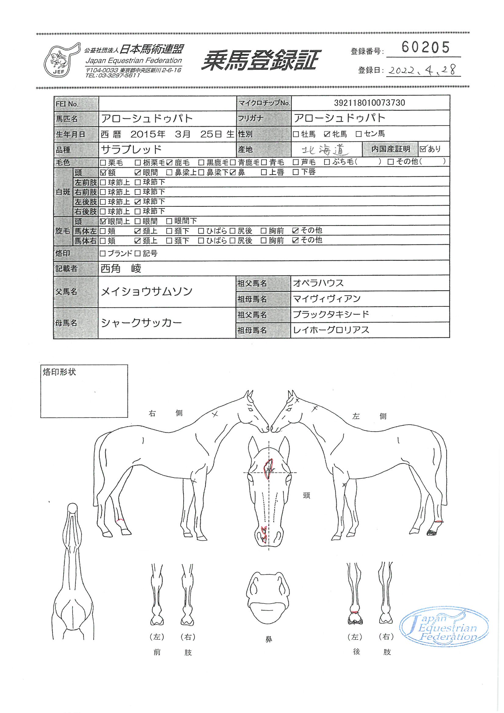 乗馬登録証