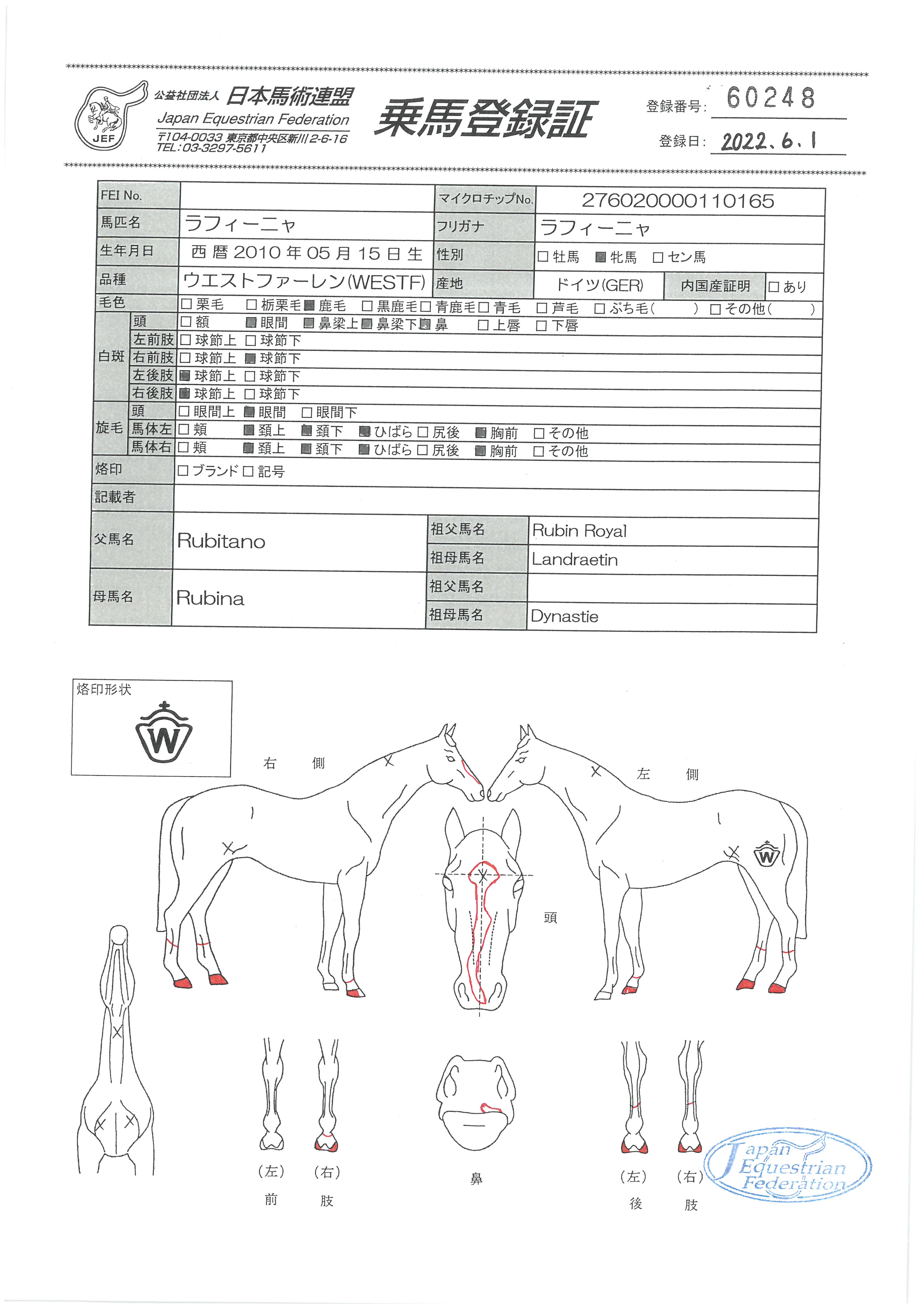 乗馬登録証