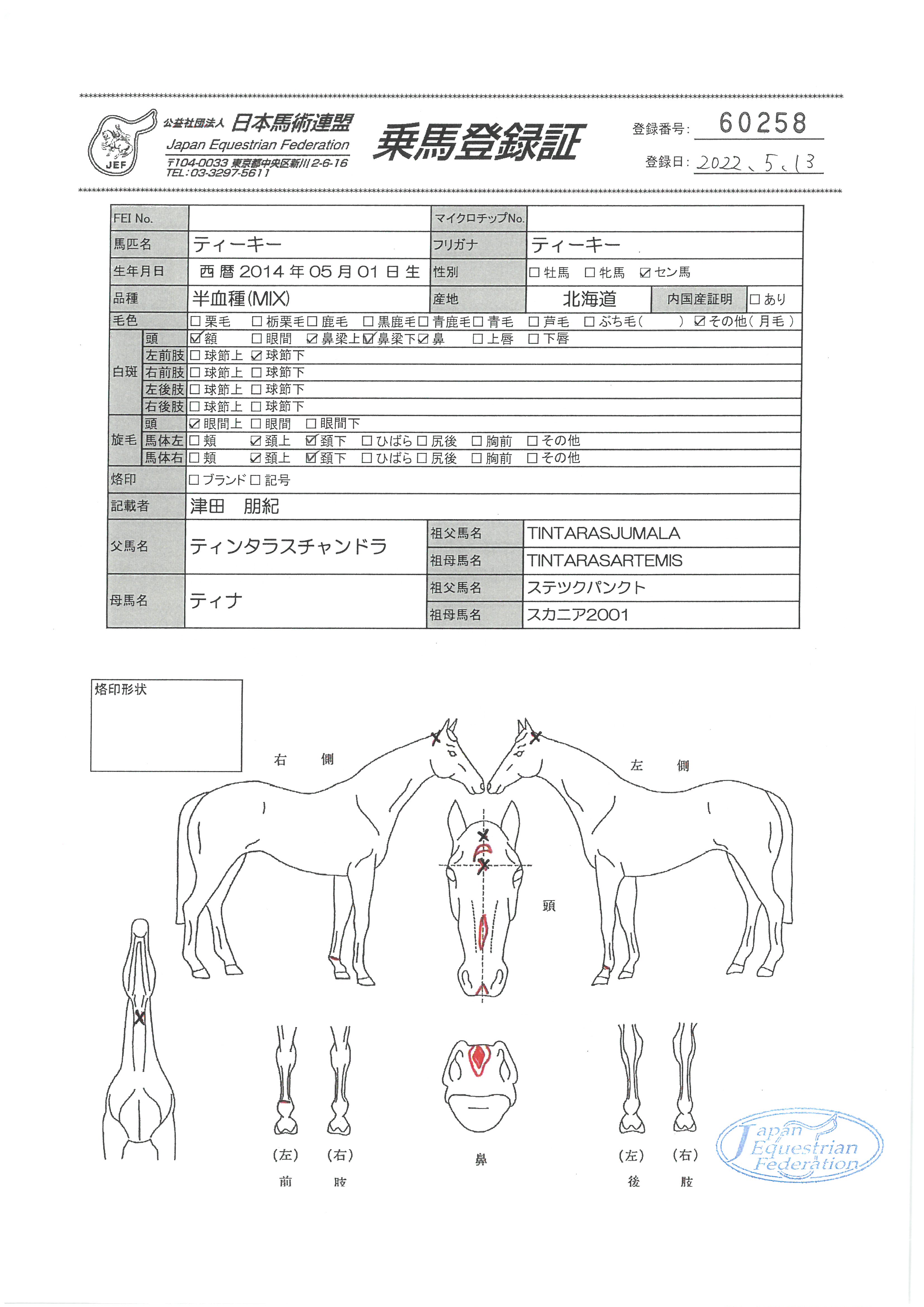 乗馬登録証