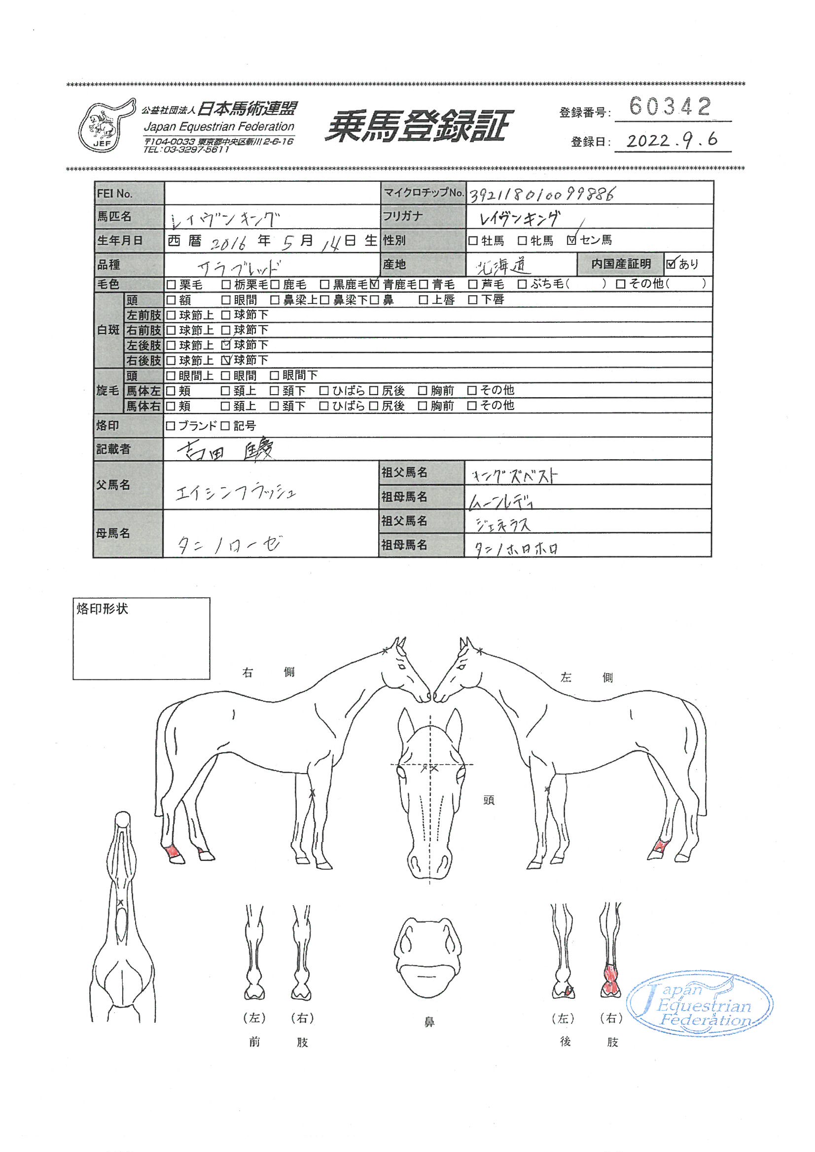 乗馬登録証