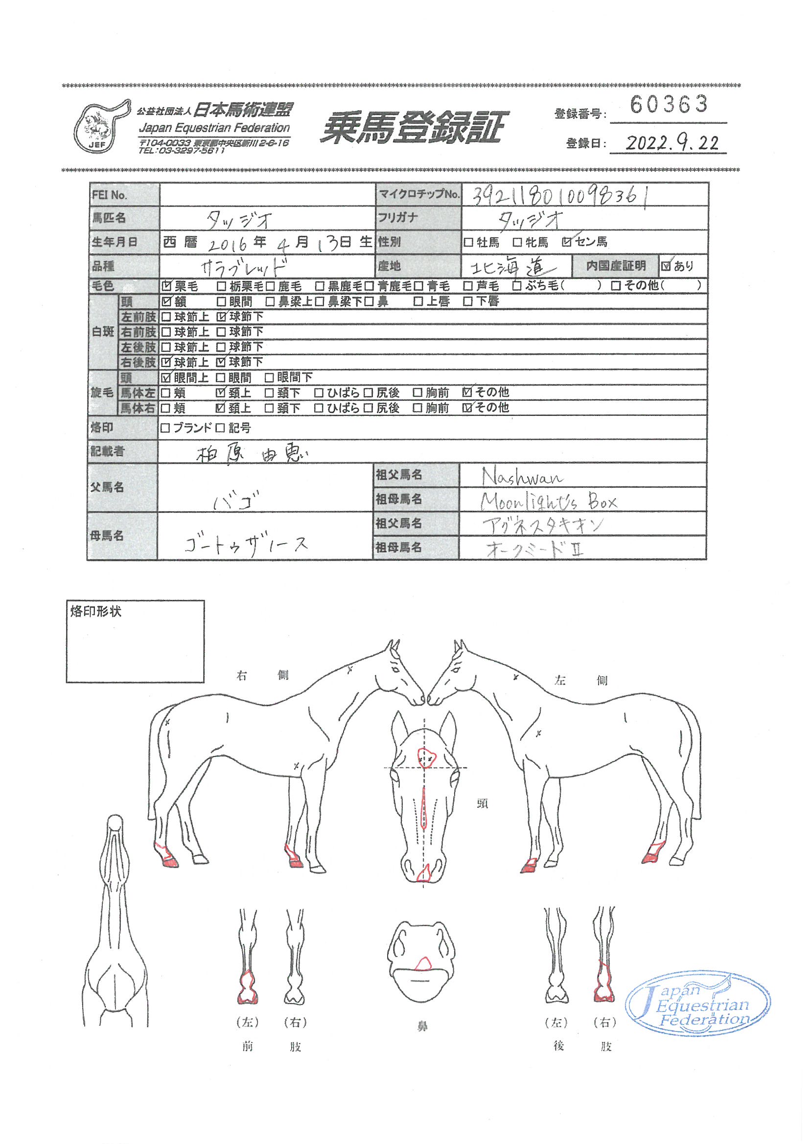 公益社団法人 日本馬術連盟 《Japan Equestrian Federation