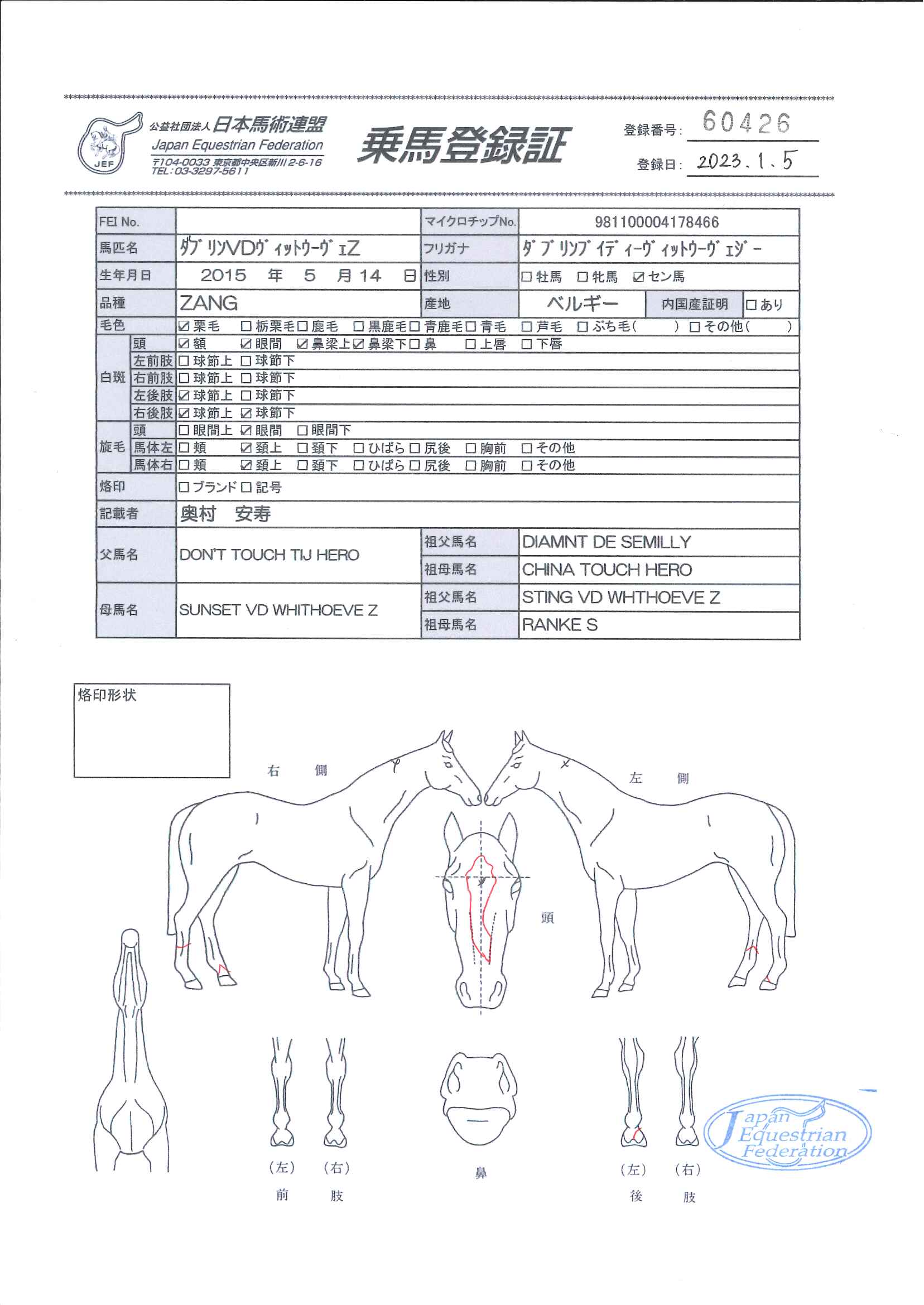 公益社団法人 日本馬術連盟 《Japan Equestrian Federation