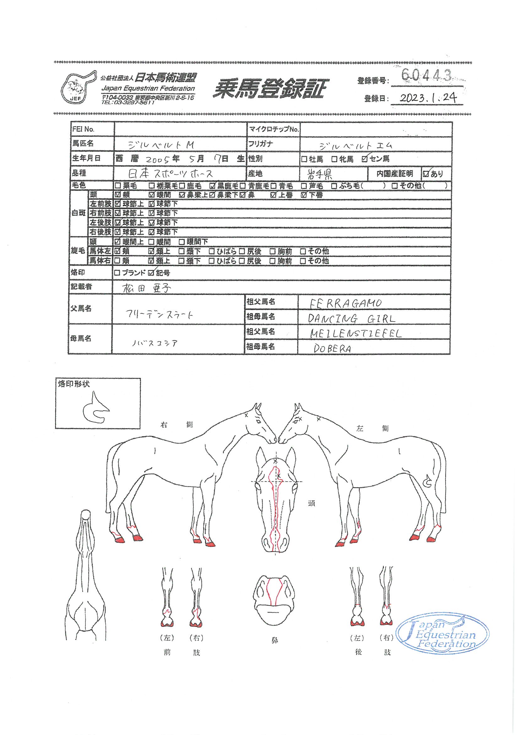 乗馬登録証