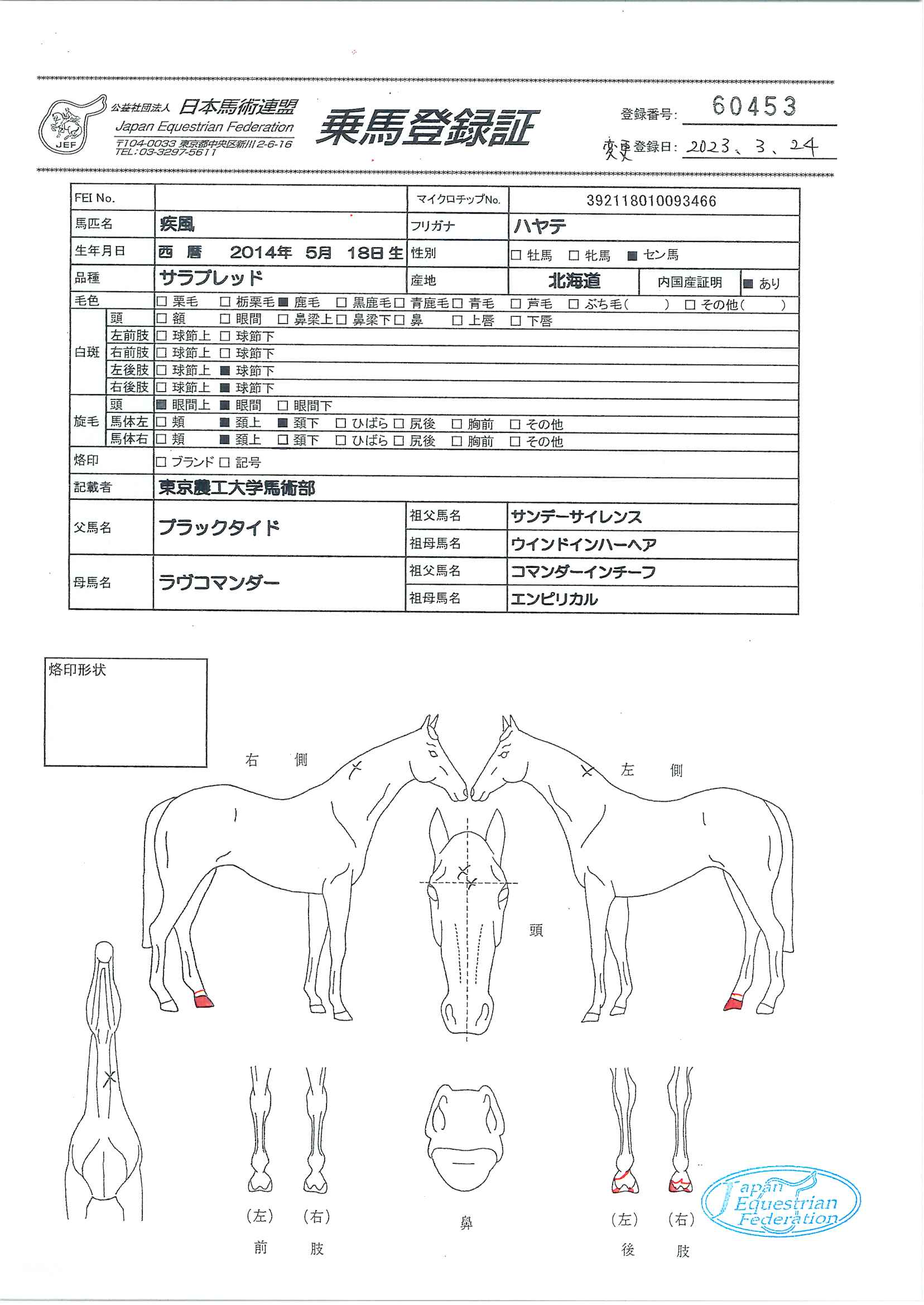 乗馬登録証