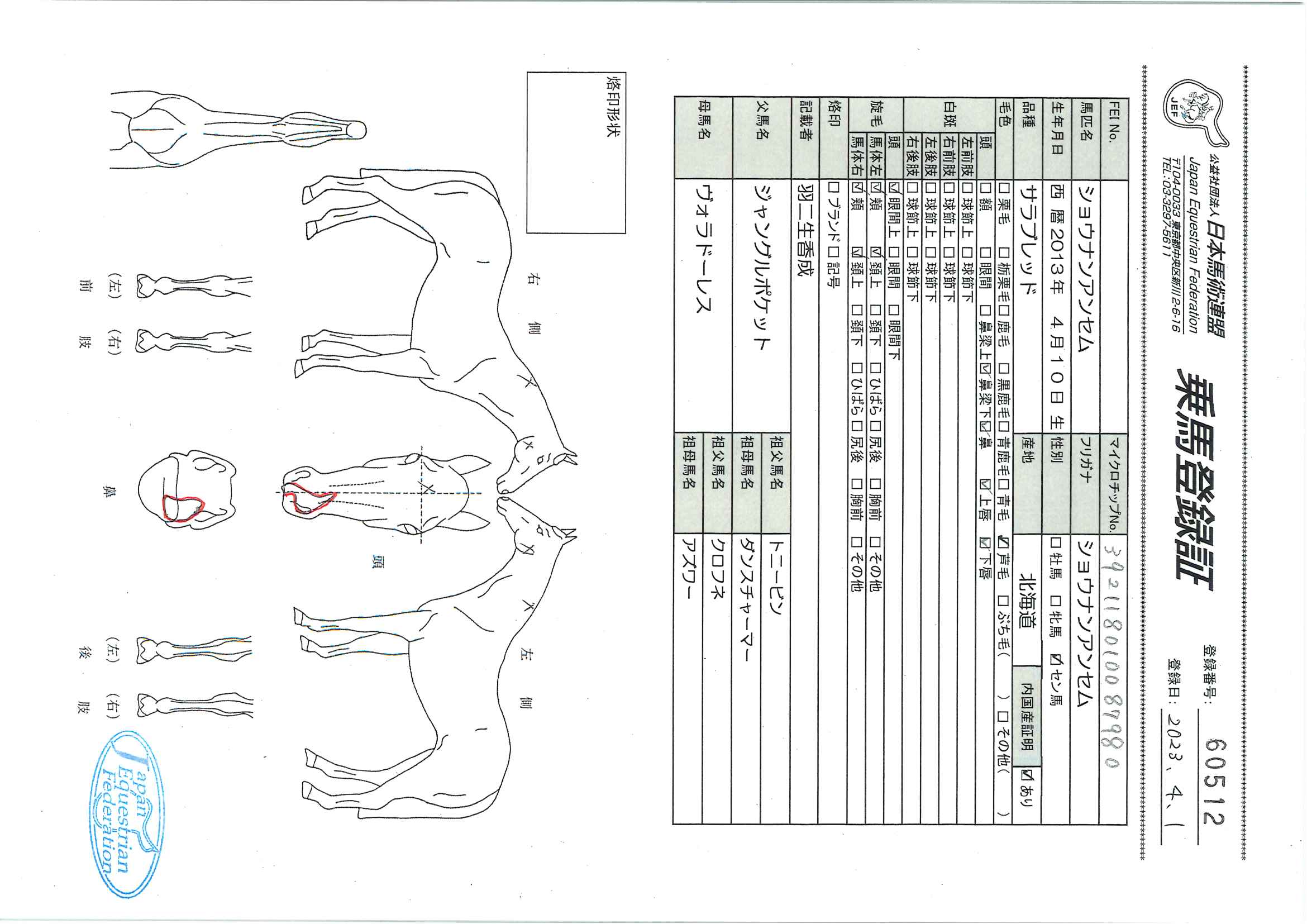 乗馬登録証