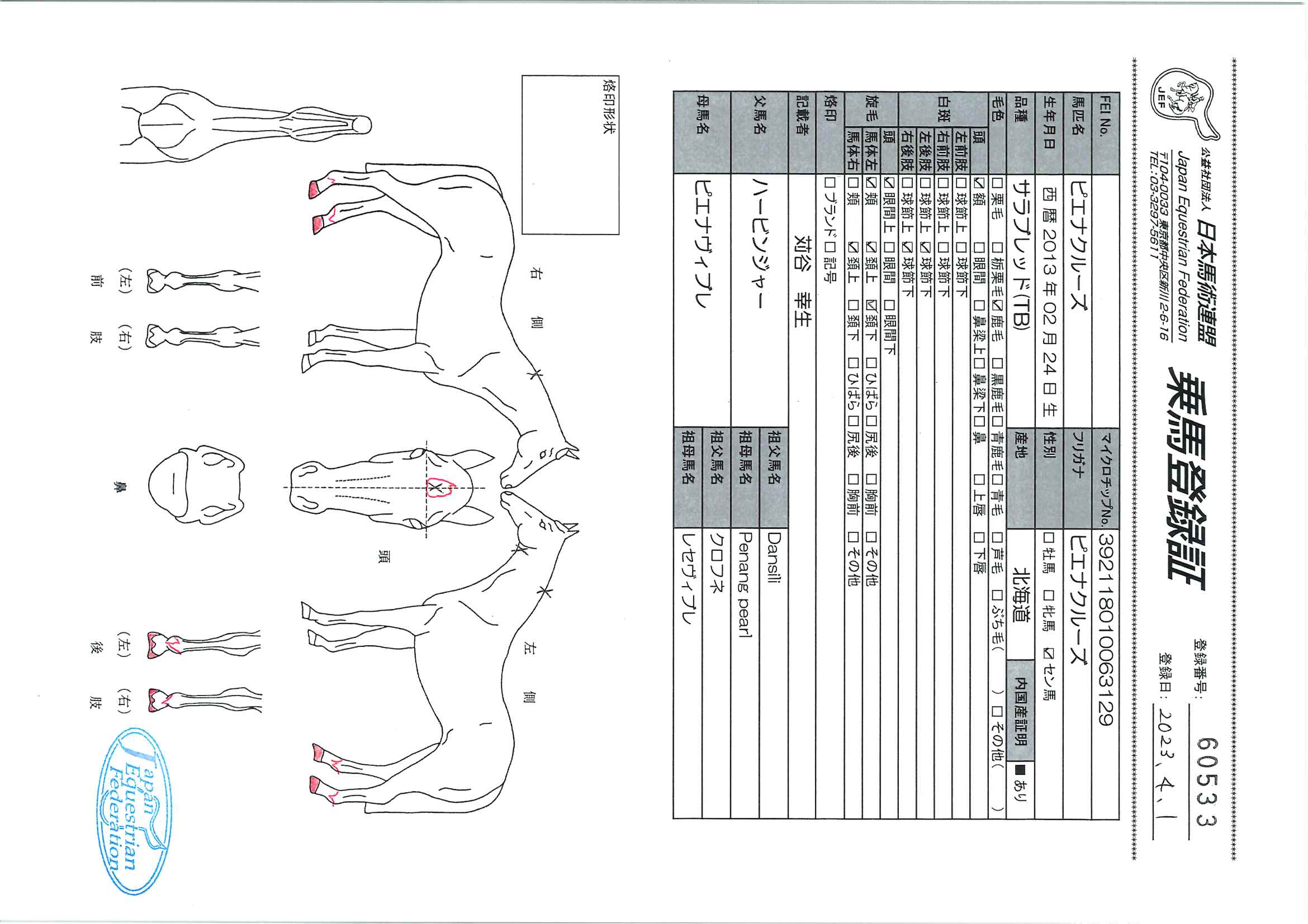 乗馬登録証
