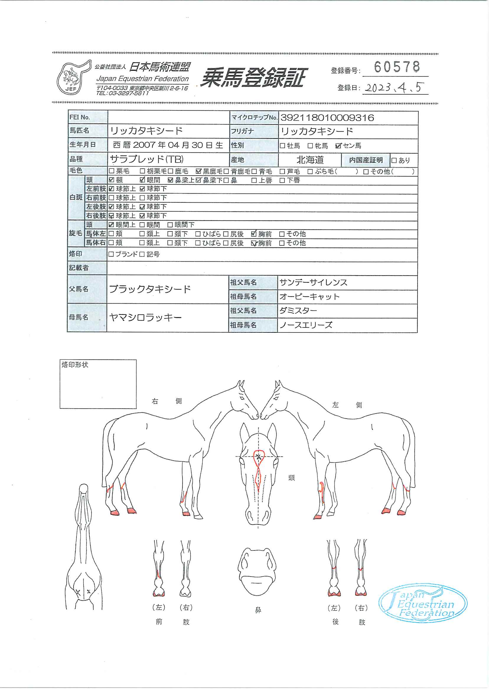 乗馬登録証