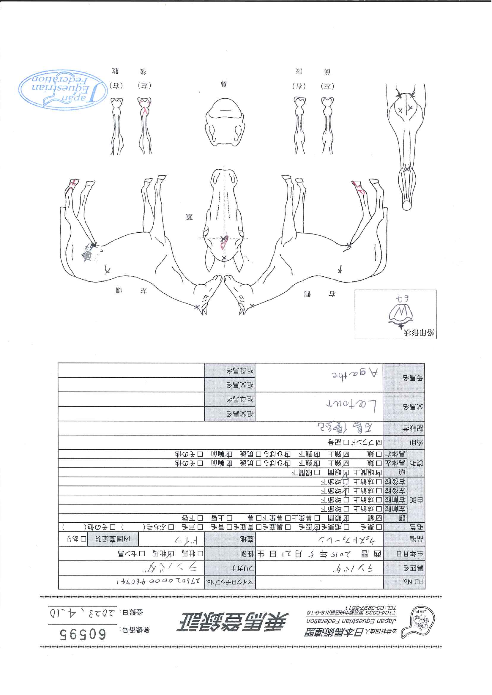 乗馬登録証