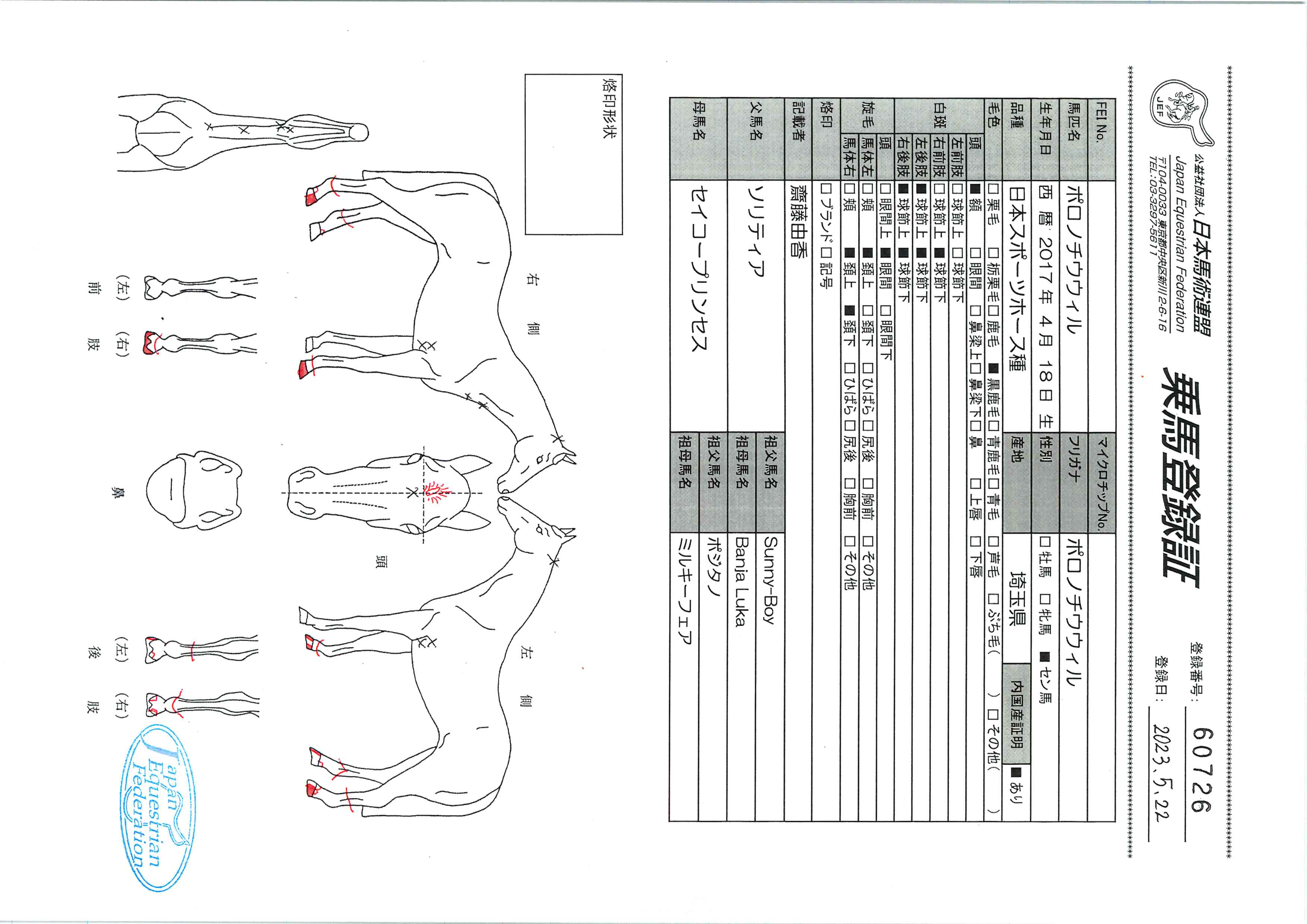 乗馬登録証