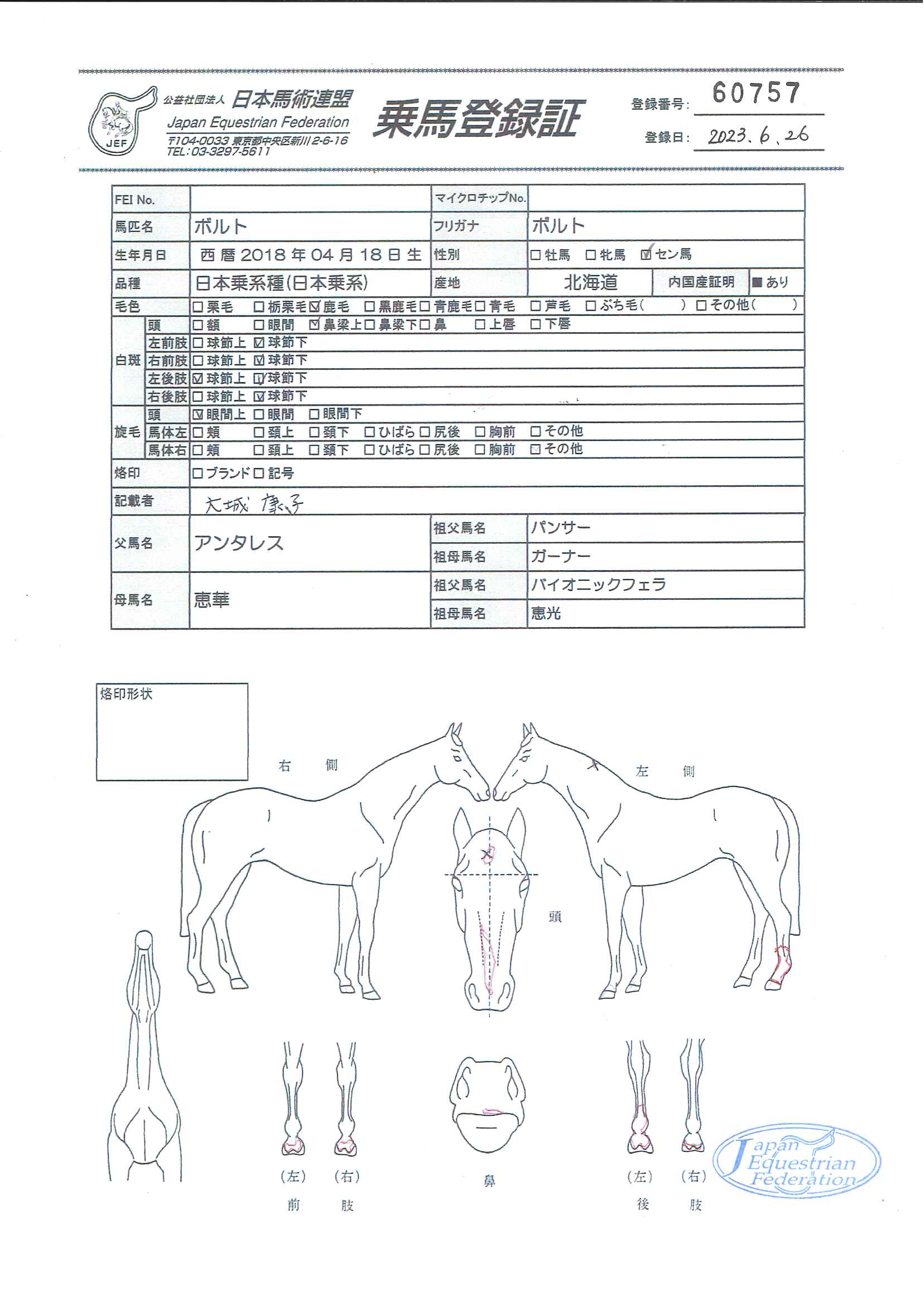 公益社団法人 日本馬術連盟 《Japan Equestrian Federation