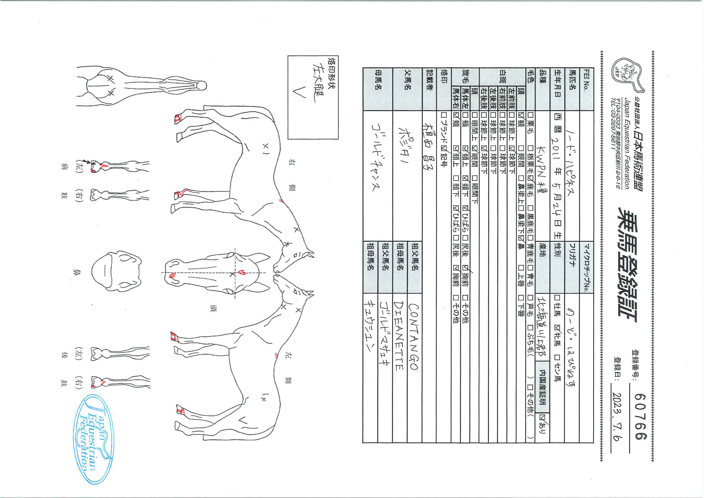 乗馬登録証