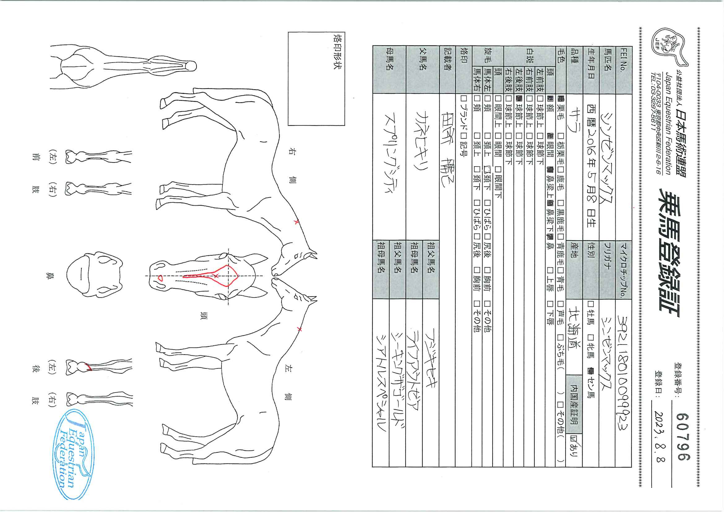 乗馬登録証