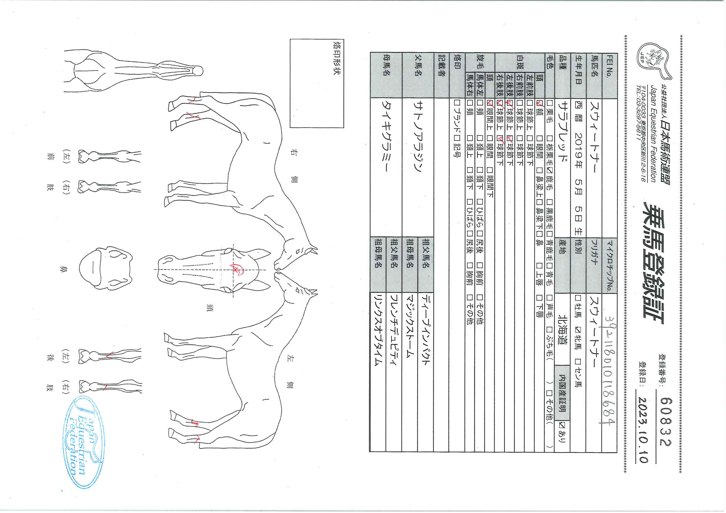乗馬登録証