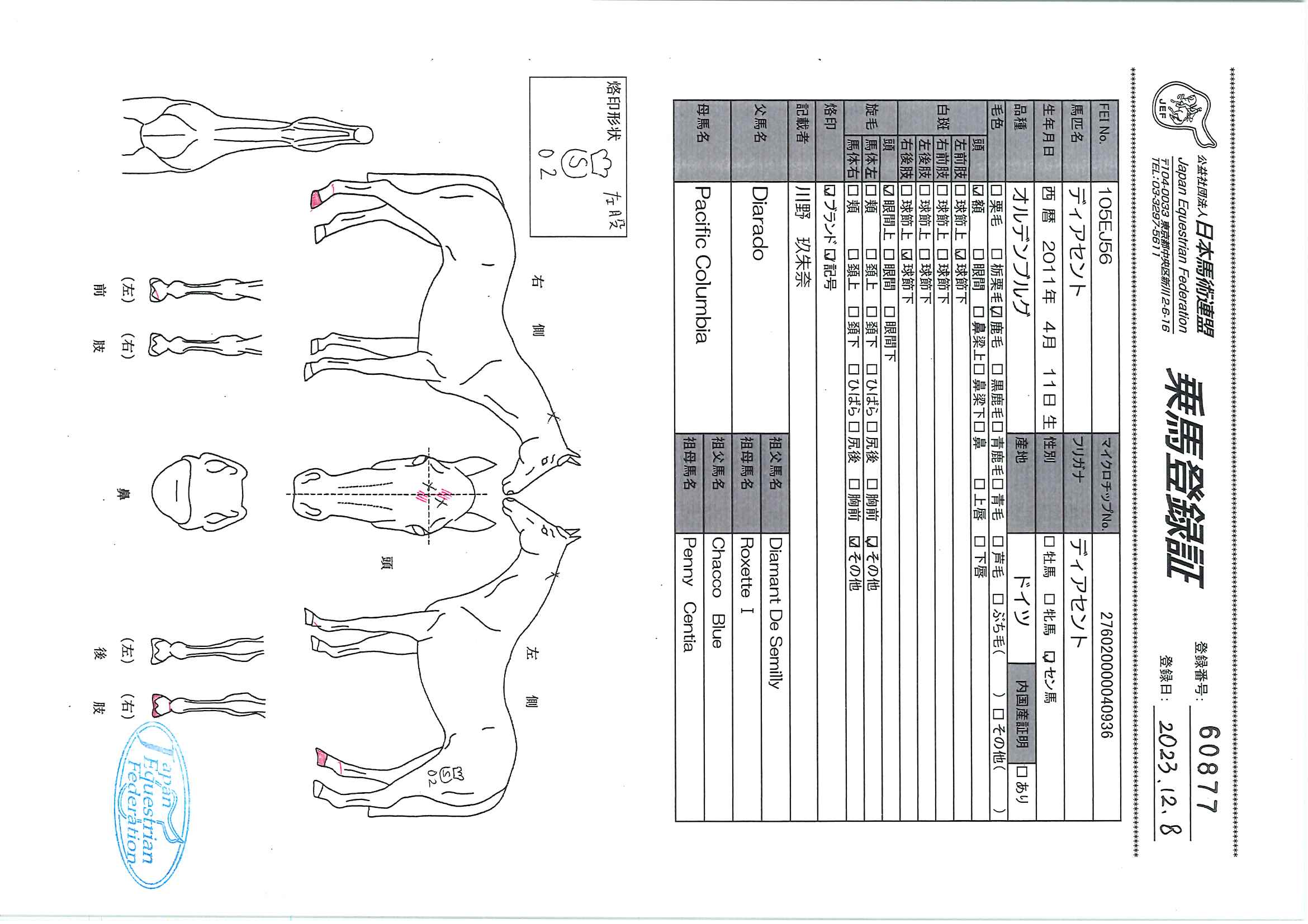 公益社団法人 日本馬術連盟 《Japan Equestrian Federation